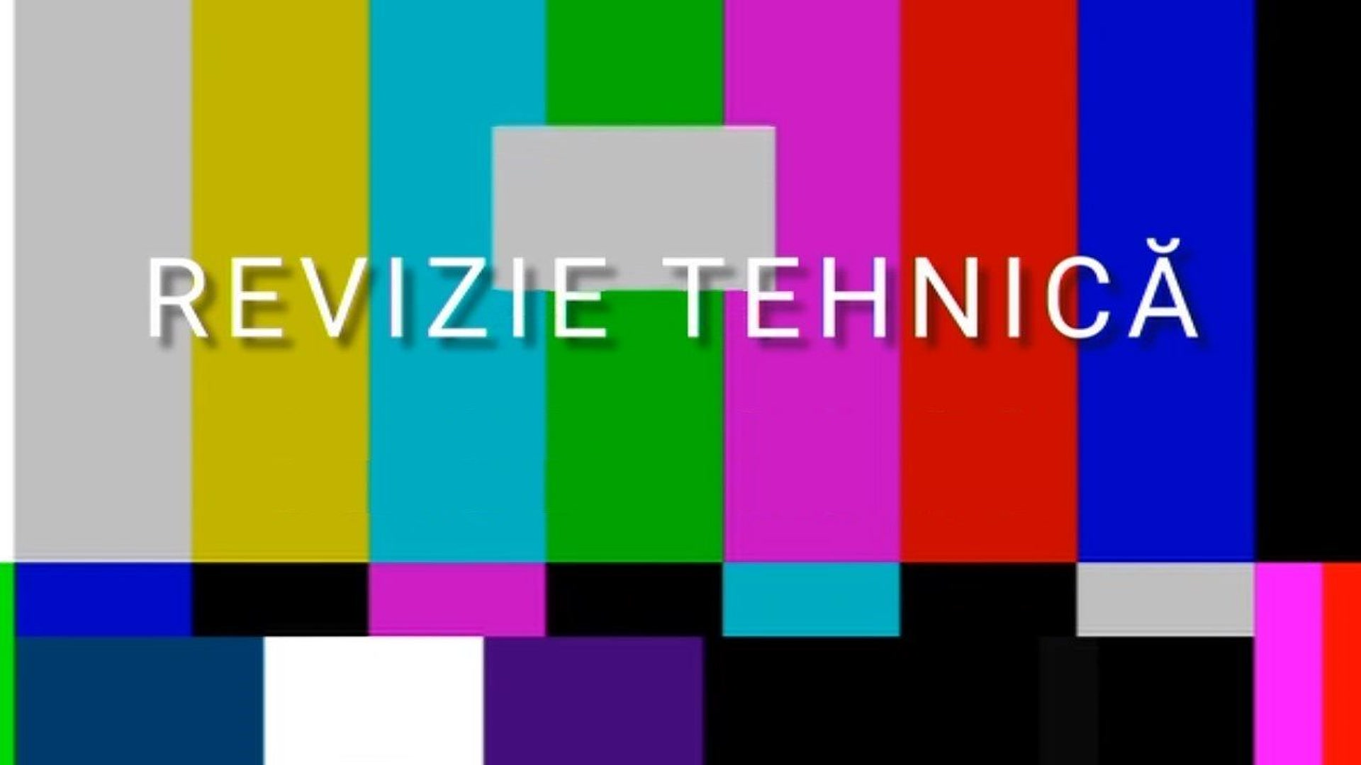 Revizie tehnică