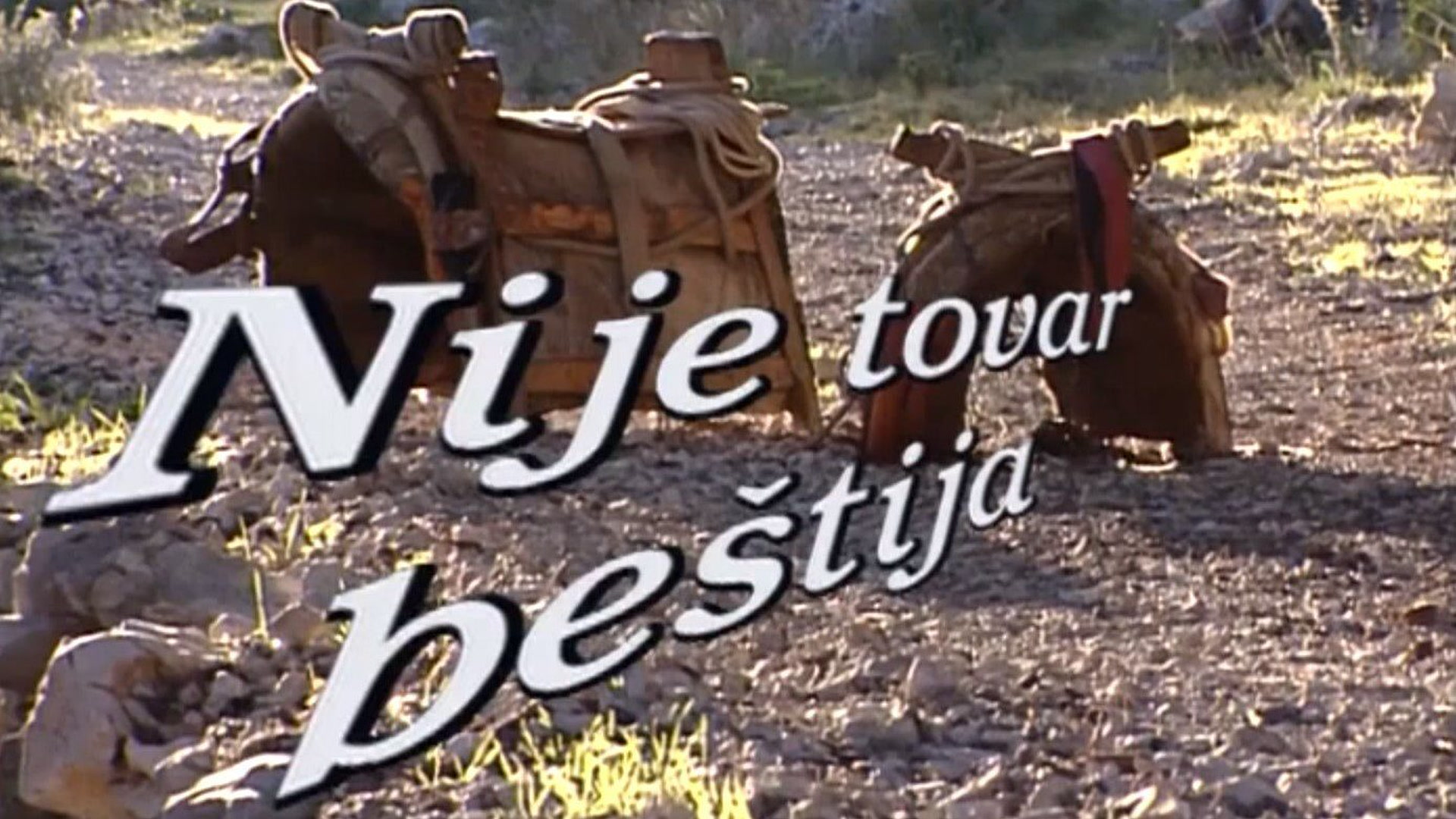 Nije tovar beštija