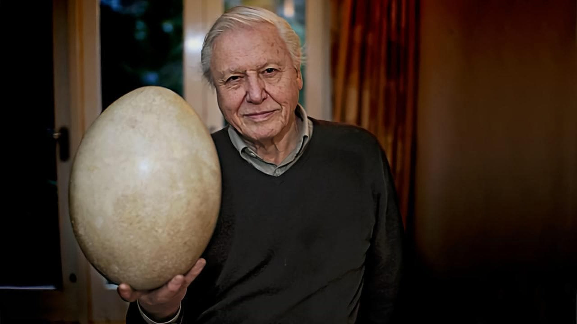 Attenborough: Jaje, čudo prirode