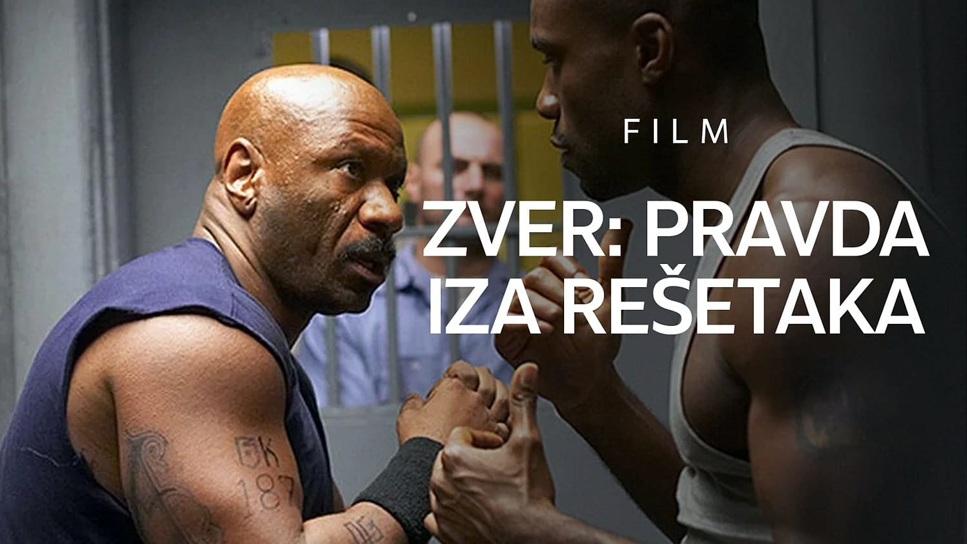 Zver: Pravda iza rešetaka