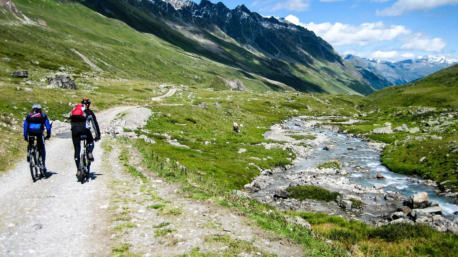 Biking: Planina Igman