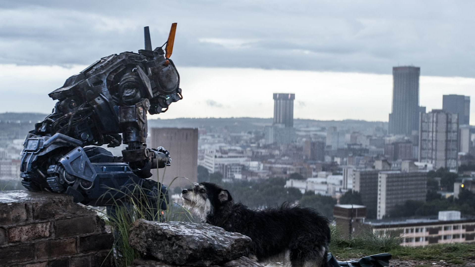 Čapi robot koji je promenio svet