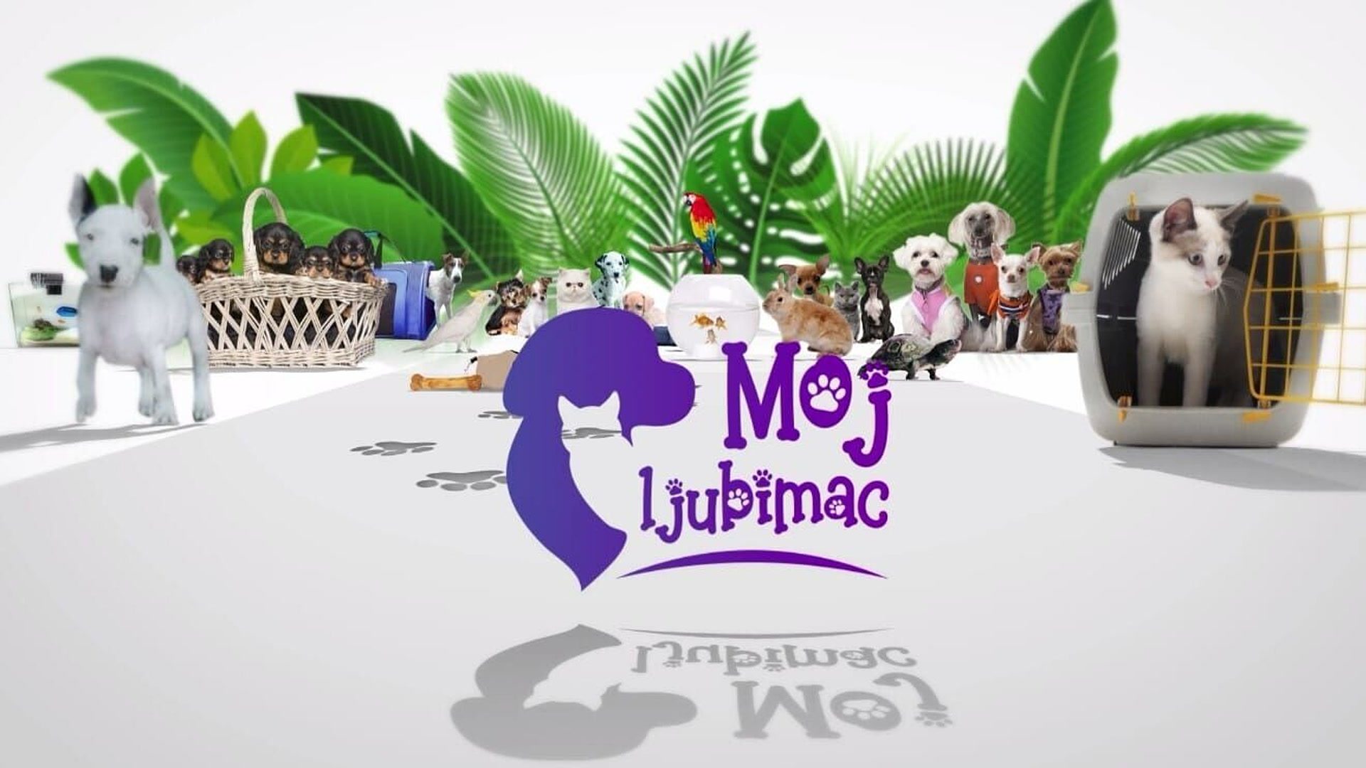 Moj ljubimac