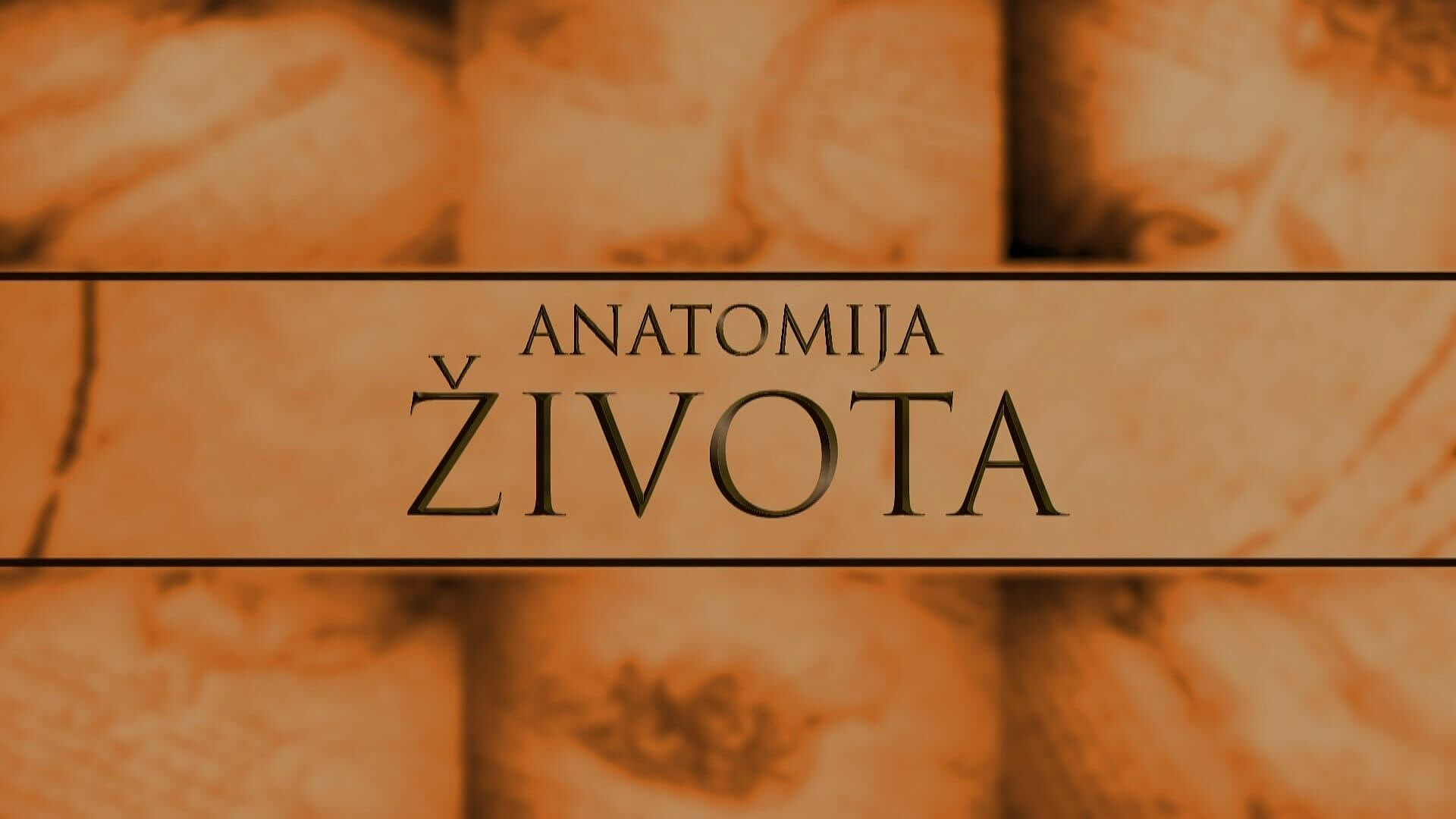 Anatomija života, prilog