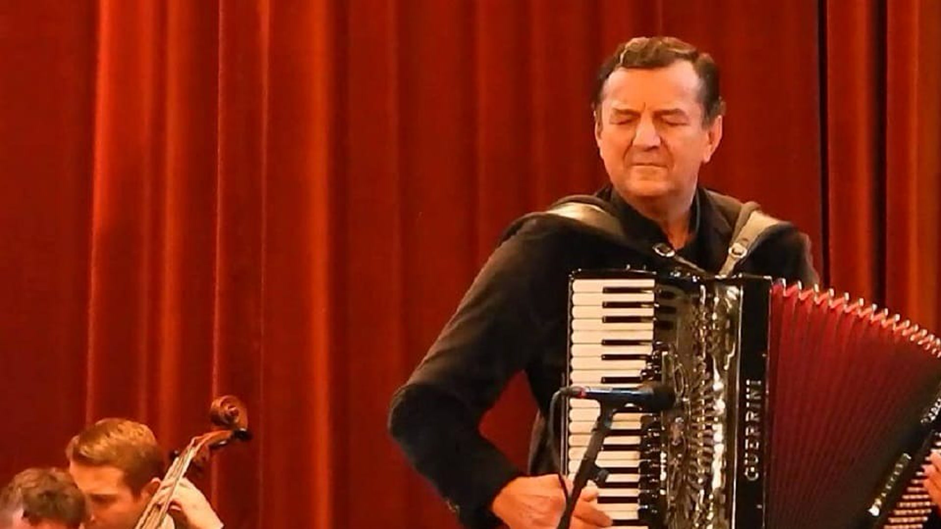 Koncert Ljubiše Pavkovića
