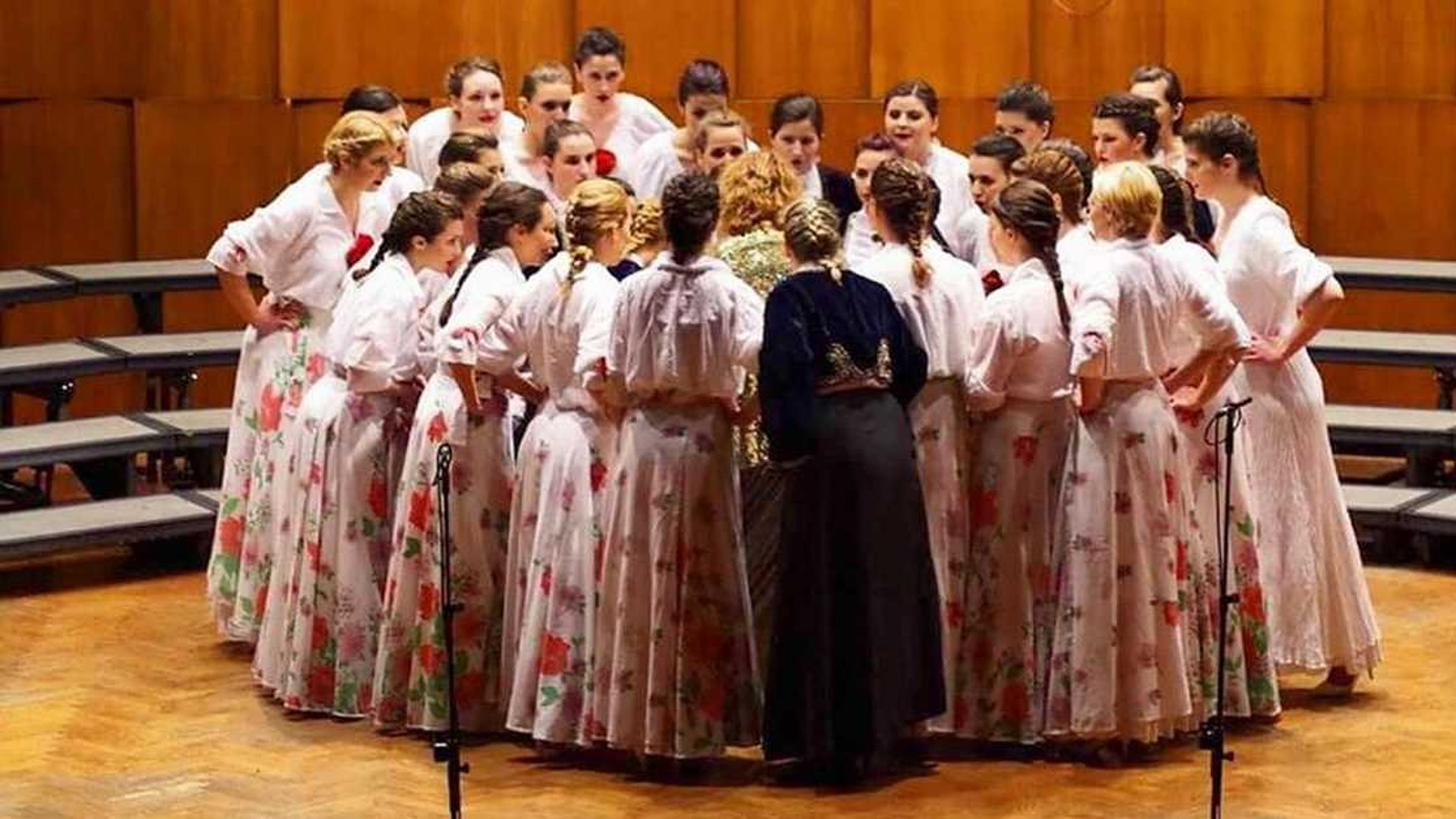 Beograd svira: Collegium musicum