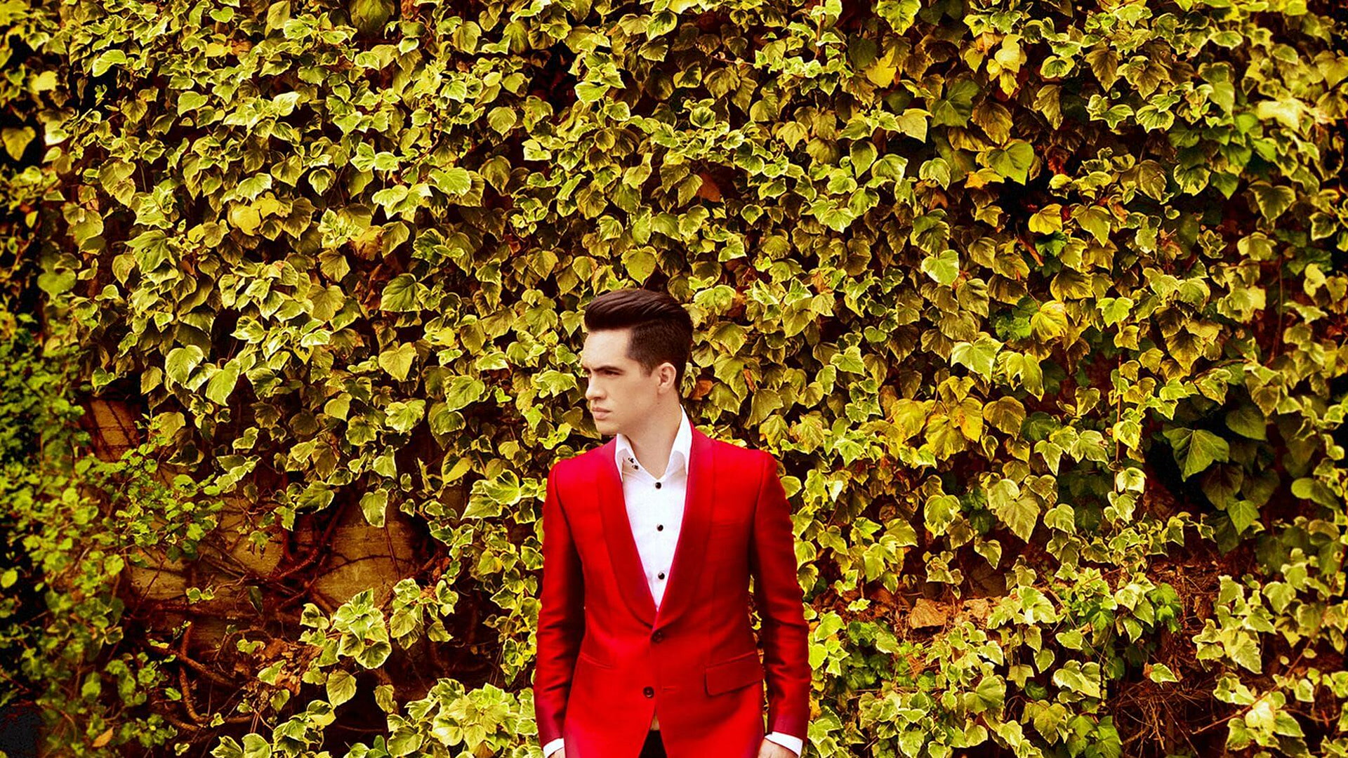 Panic! At the Disco - Rock Am Ring