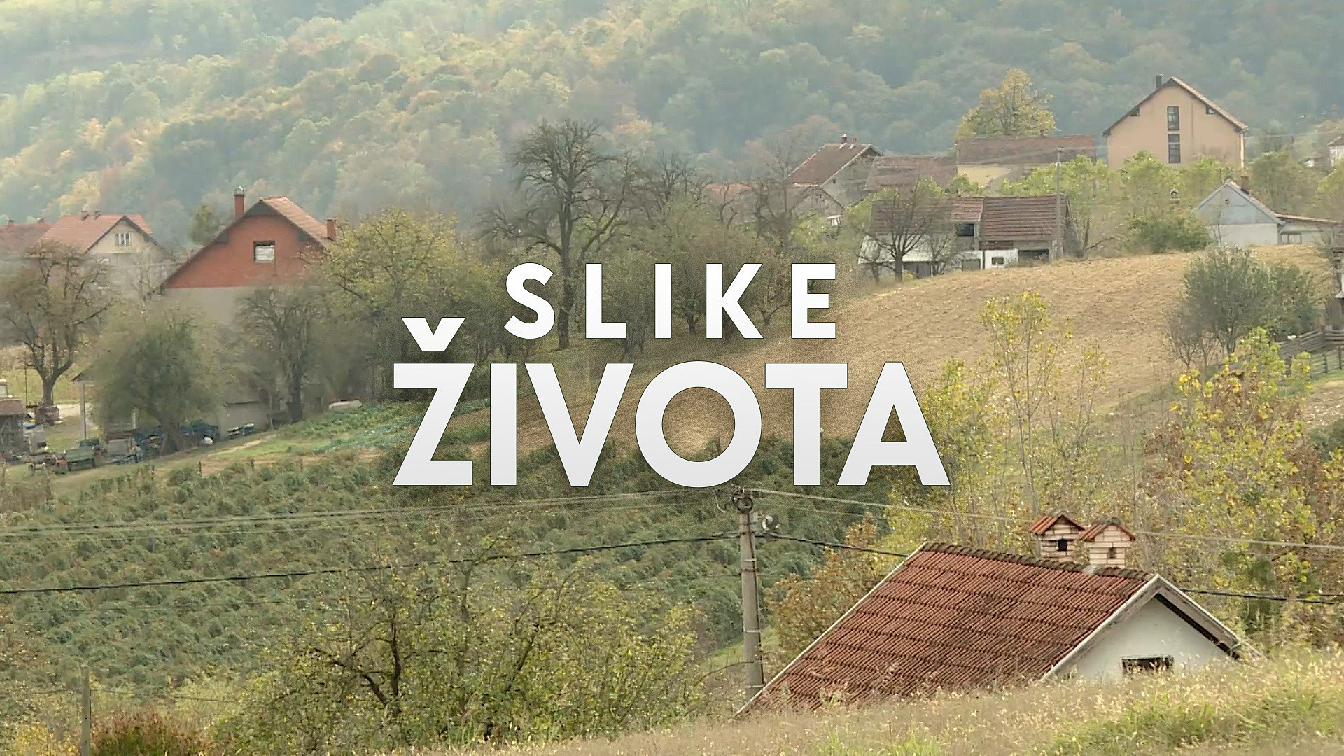 Slike života