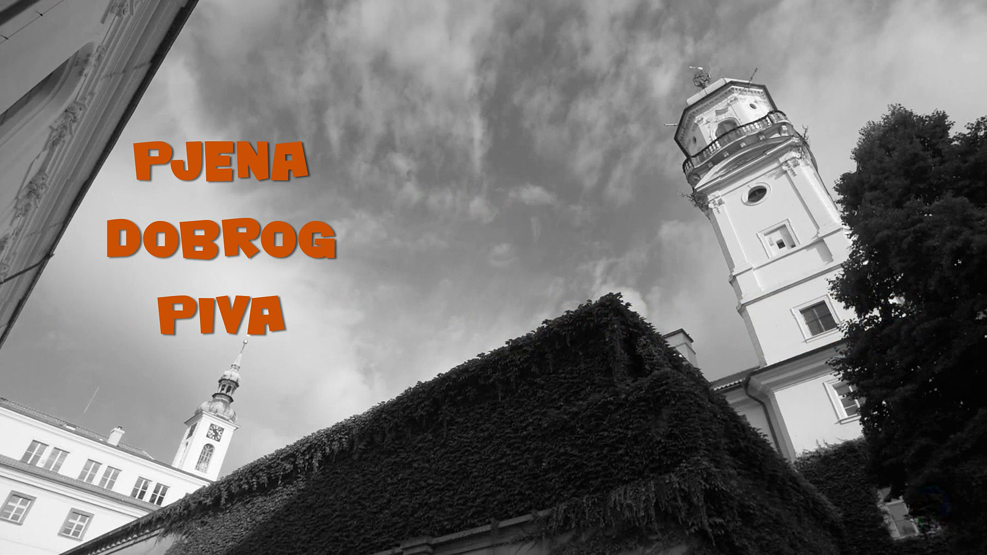 Pjena dobrog piva