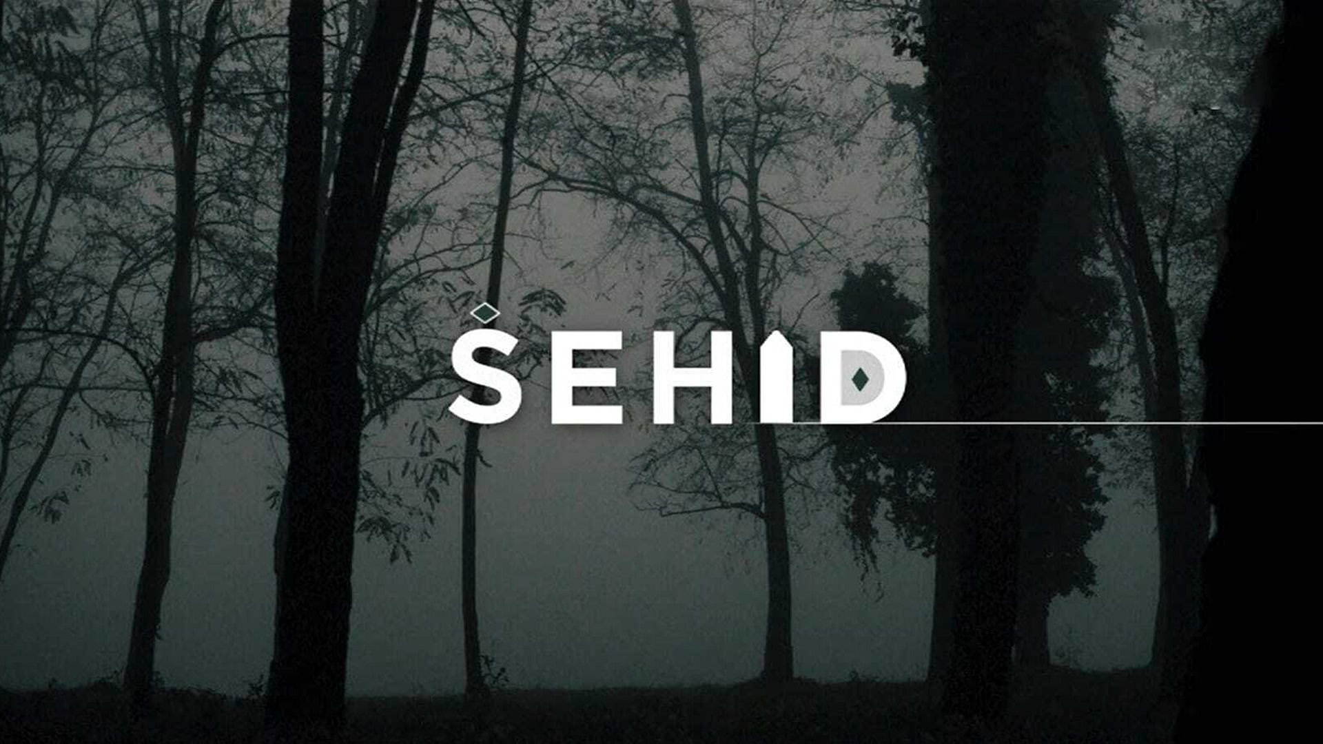 Šehid