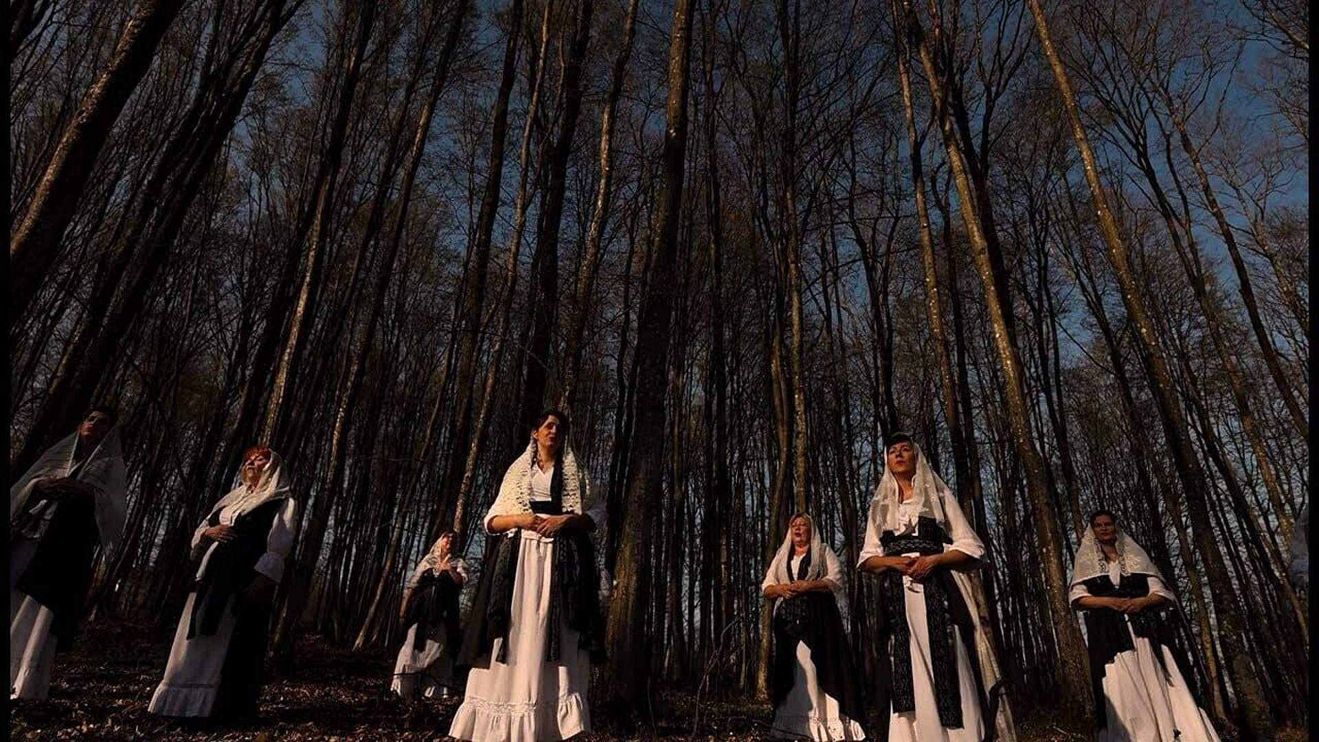 VA Lipe - Kraljice možna