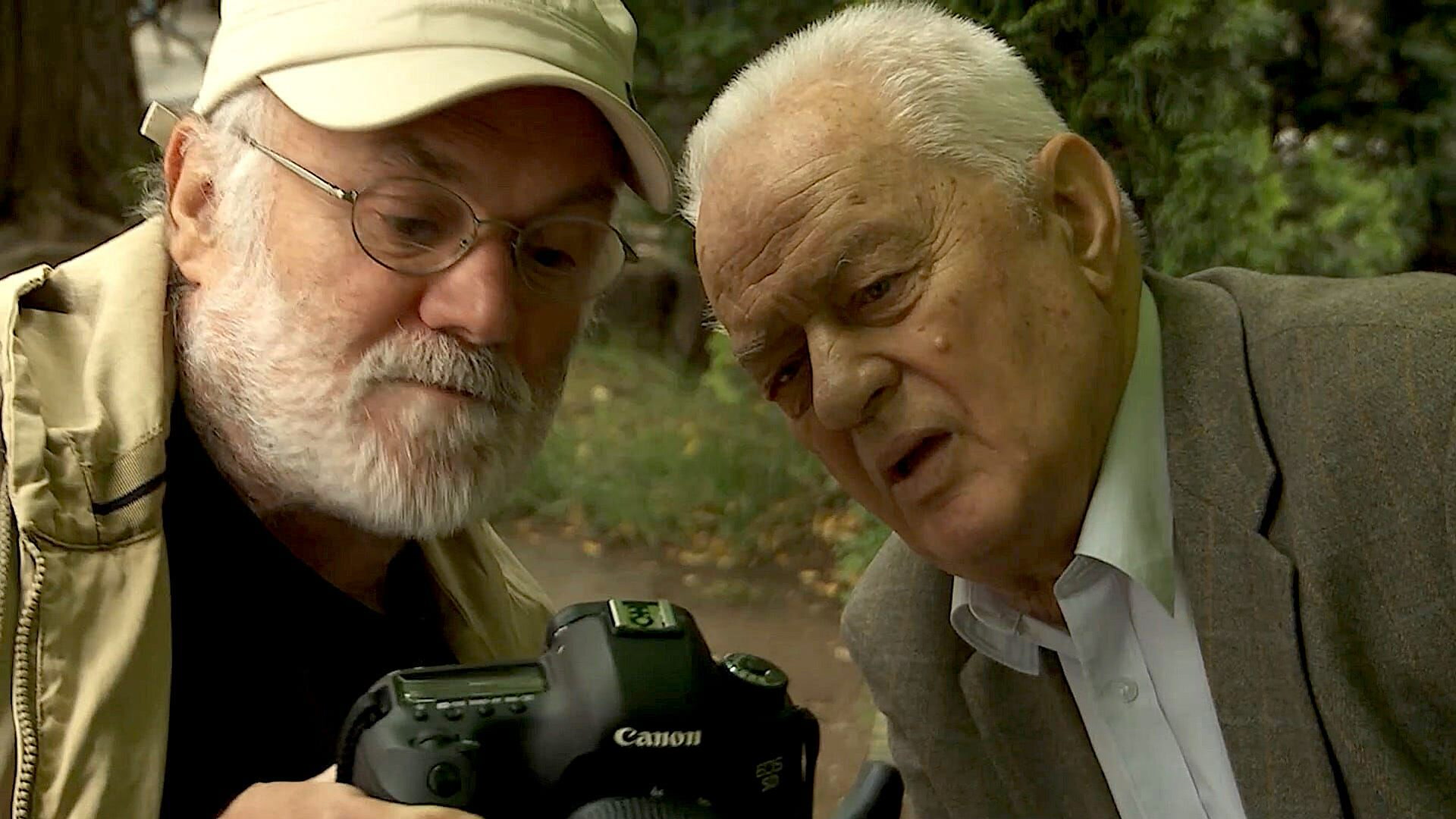 Slike iz života BH filma