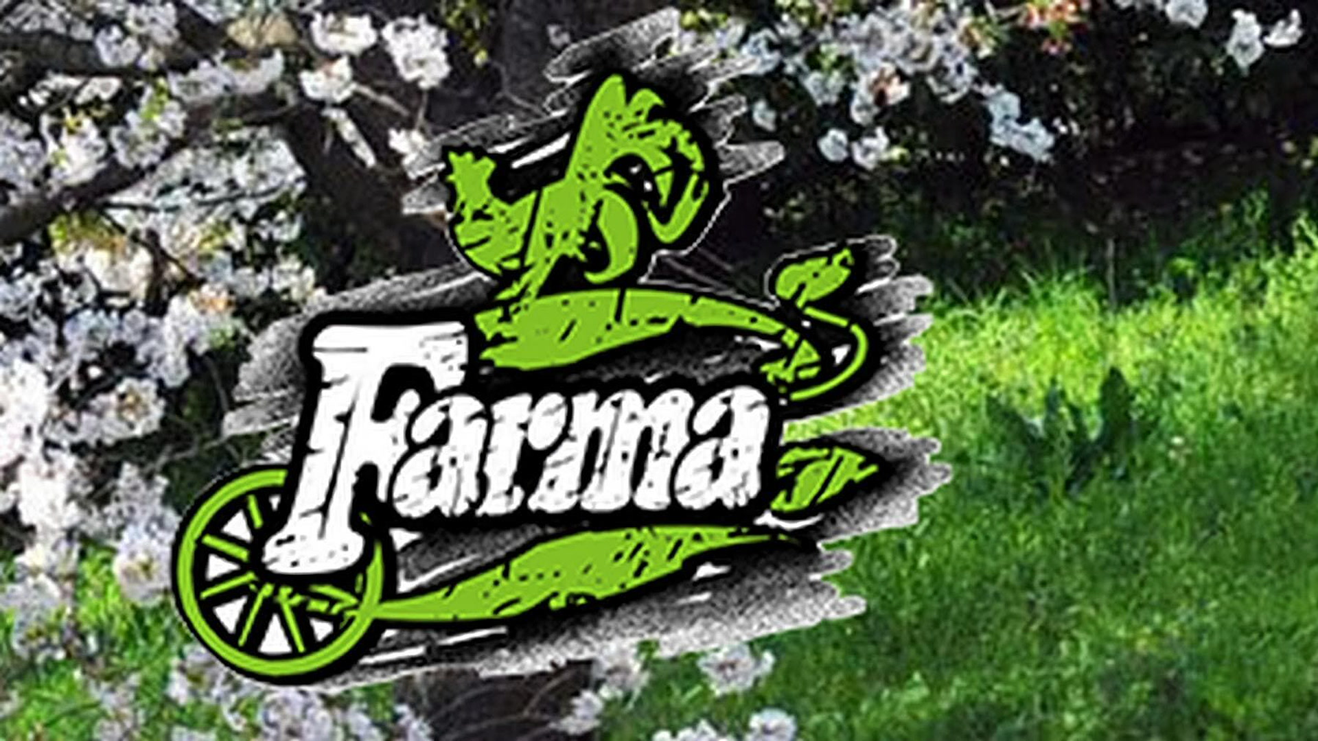 Farma polufinale