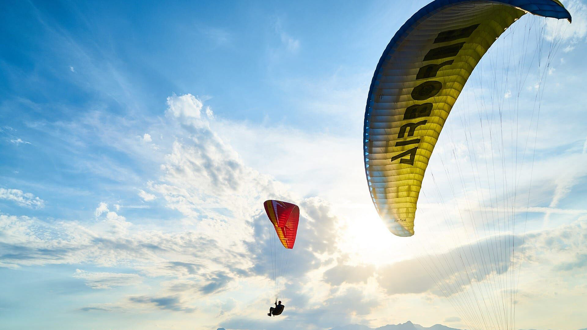 Kite Masters: Kite Masters 2019 - 2020