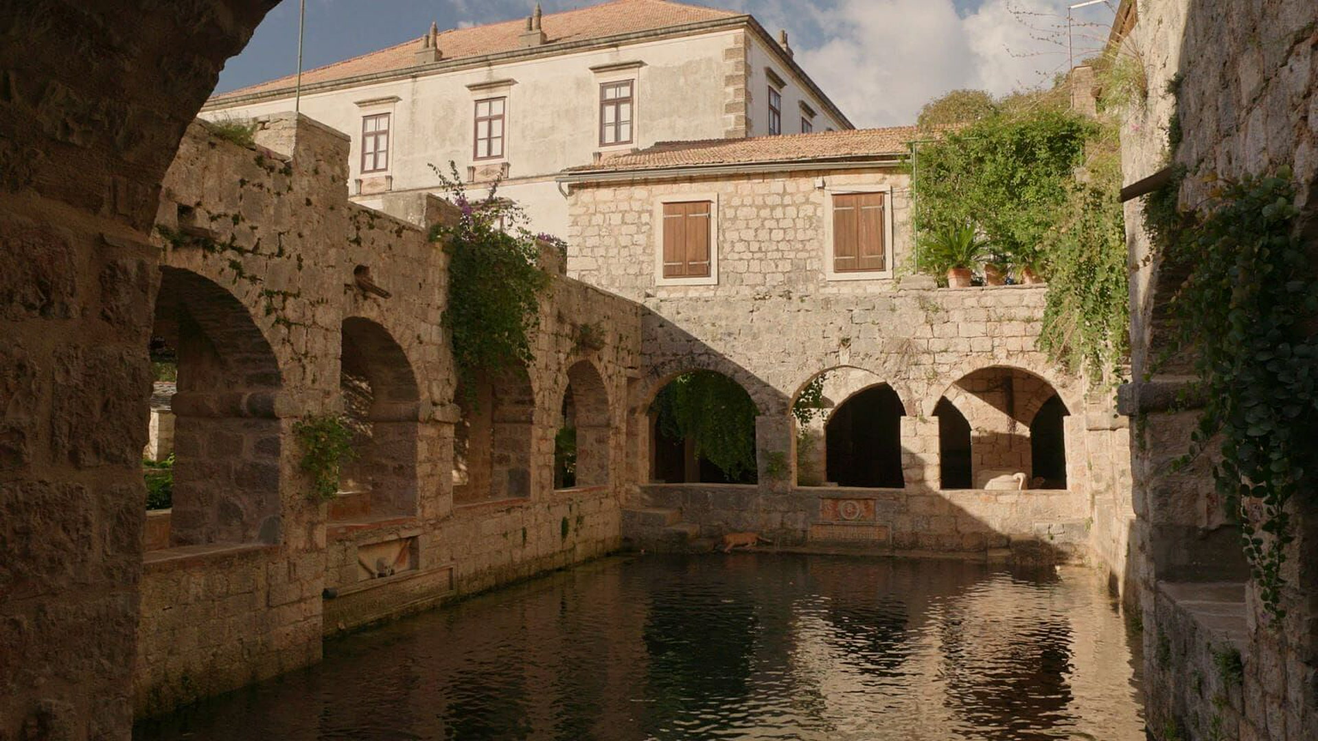 Dalmatinska marenda