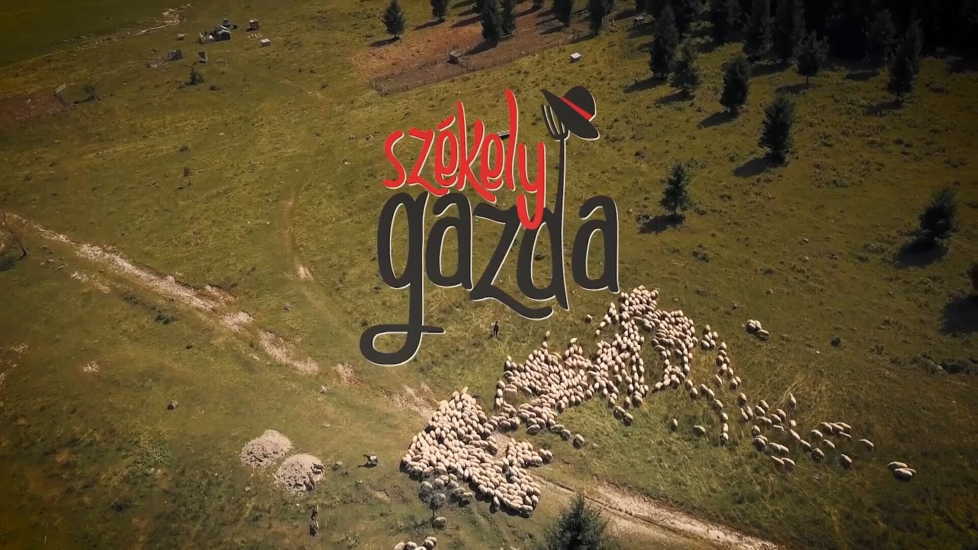 Székely Gazda