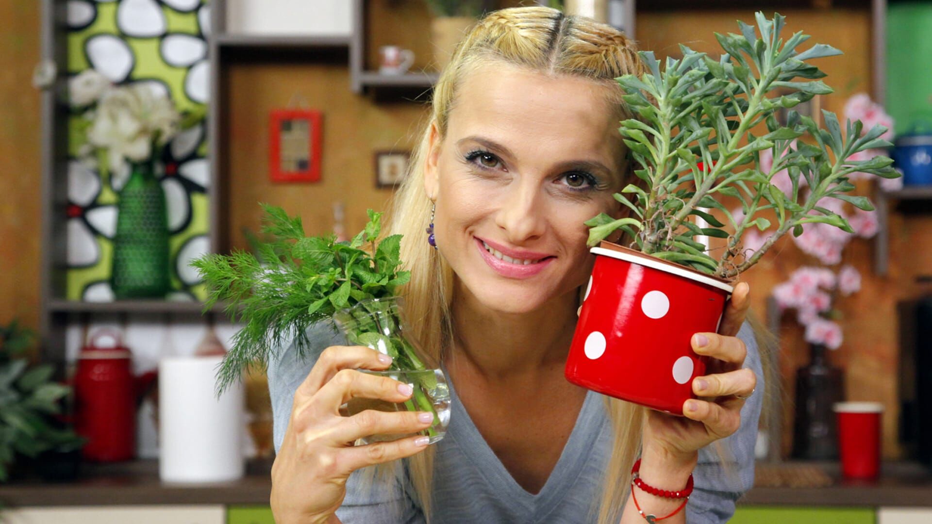 Vege izazov s Danijelom