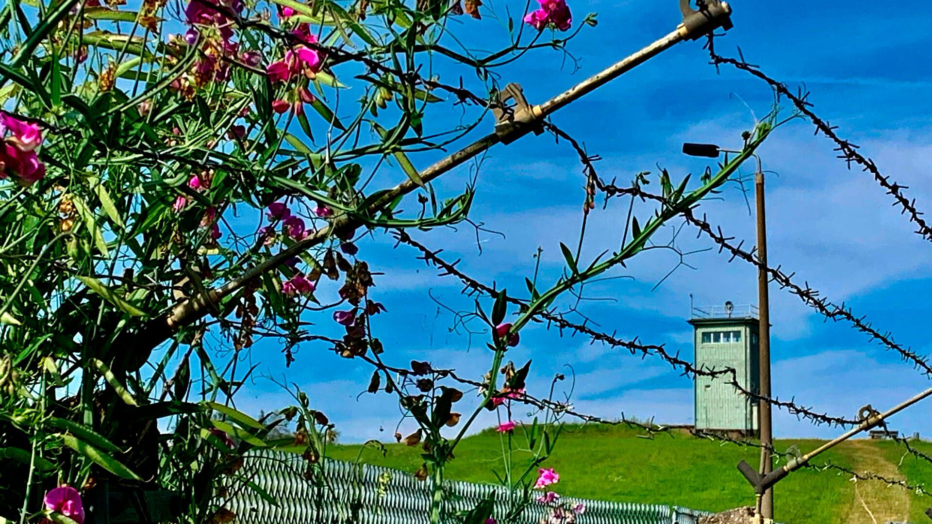 Wall, Bunker, Green Belt - The New Culture of Remembrance