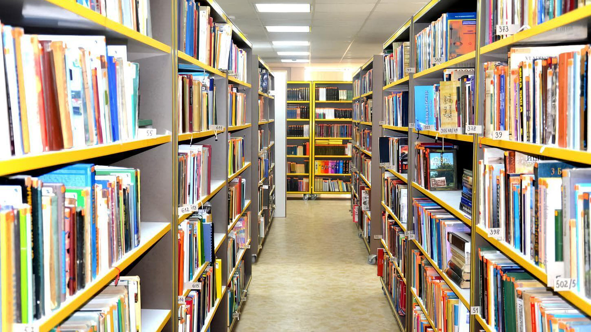 Zmajeva biblioteka