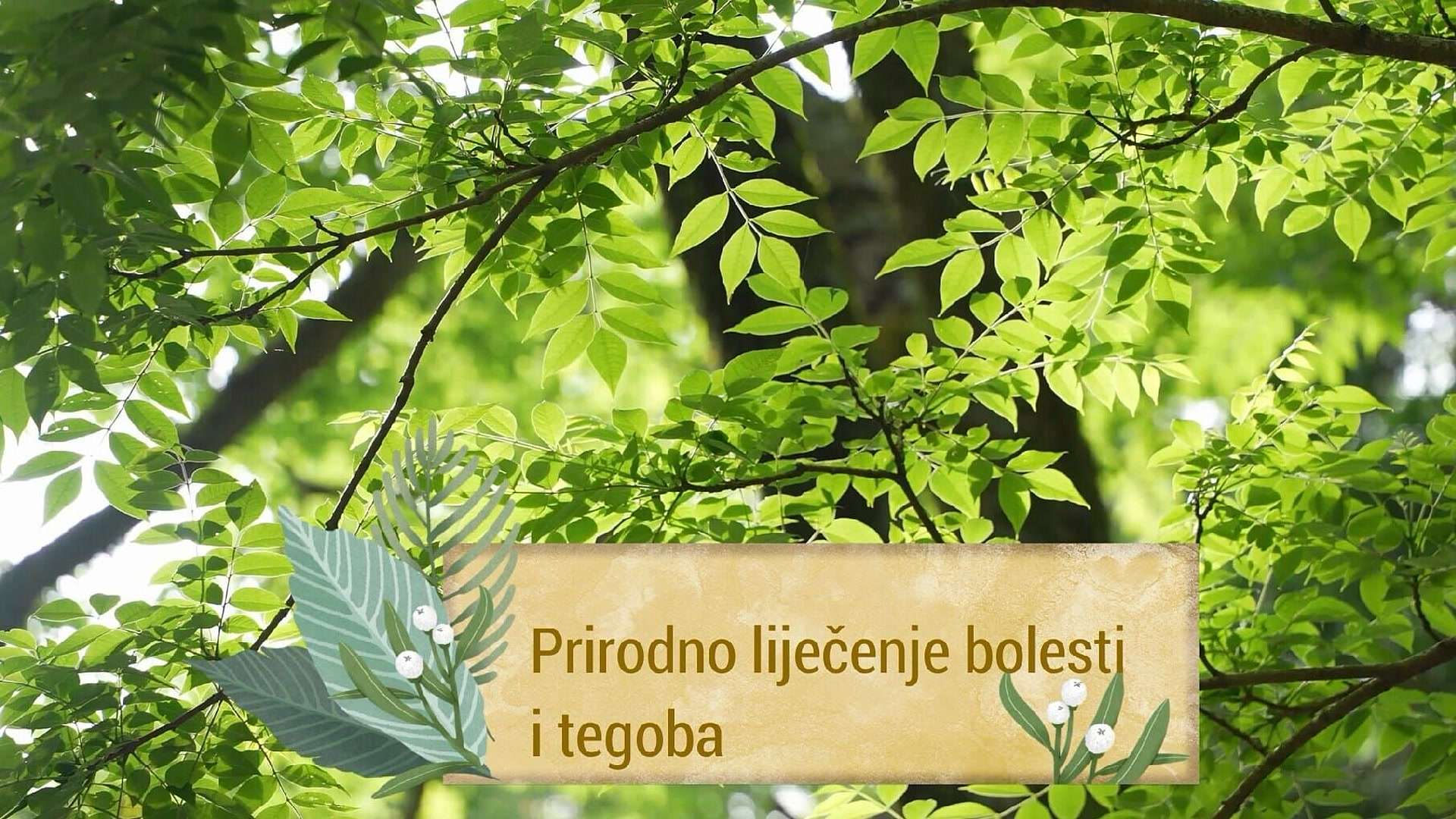 Prirodno liječenje zdravstvenih tegoba