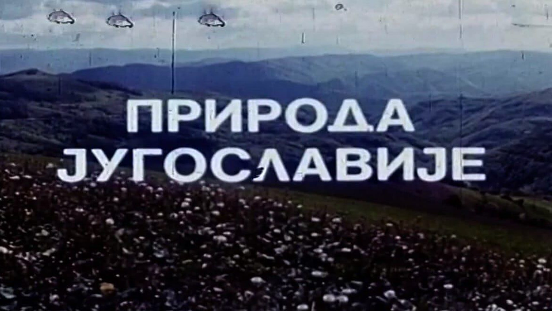Priroda Jugoslavije