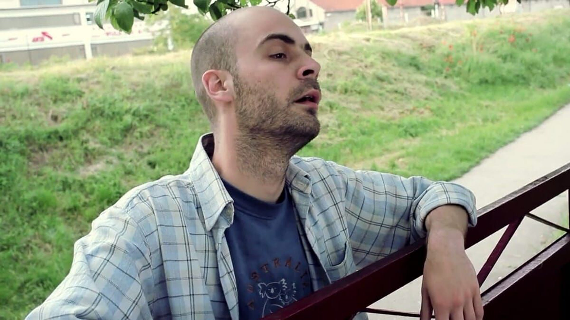 Crveni makovi