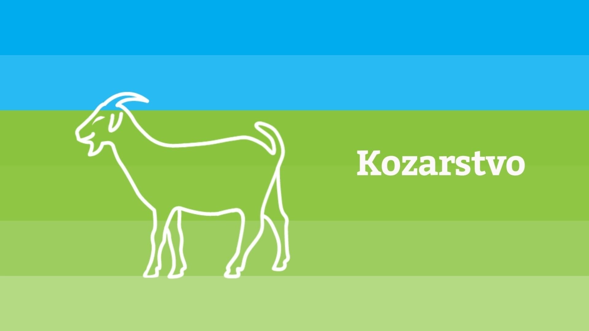 Kozarstvo