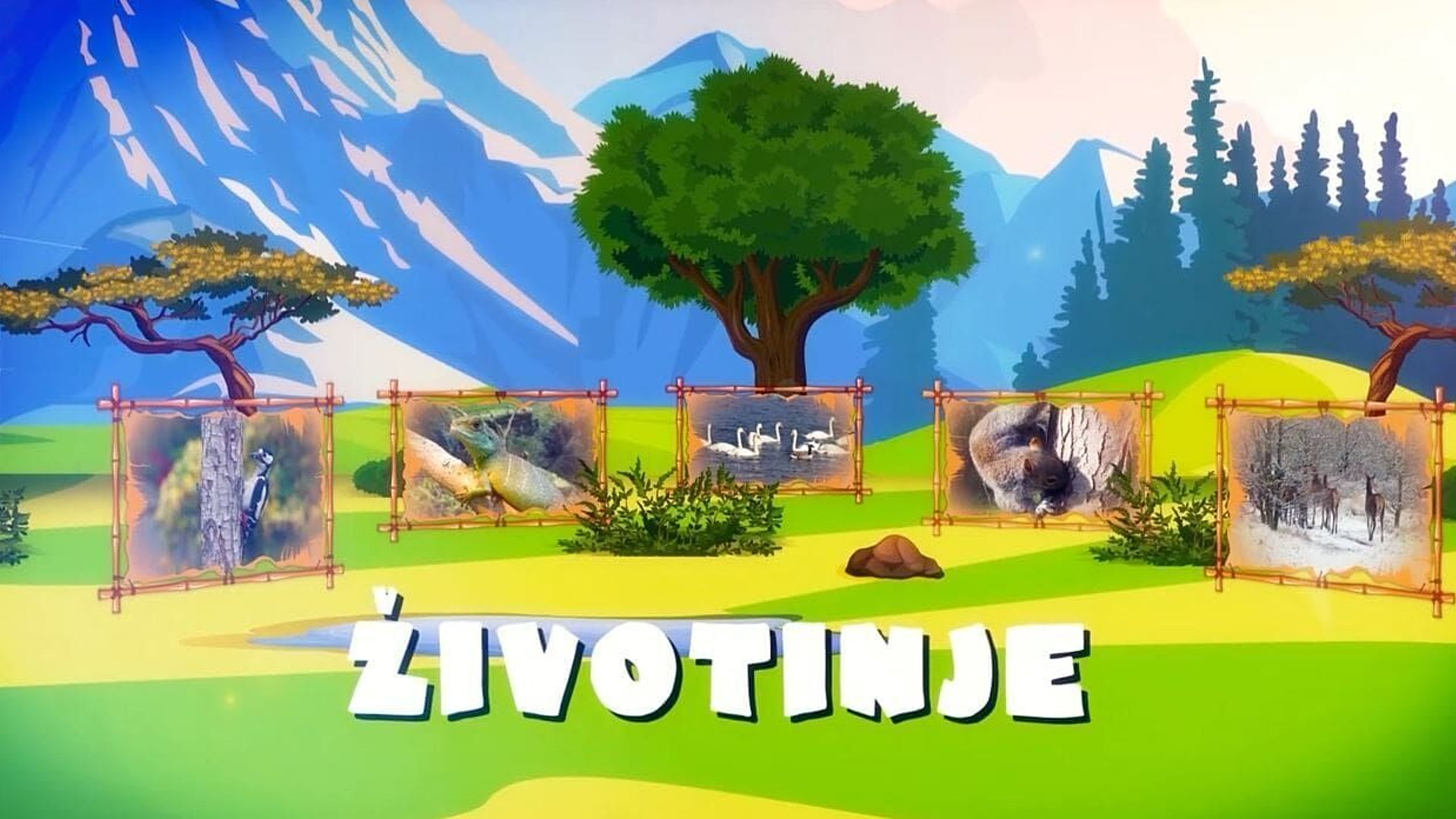 Životinje