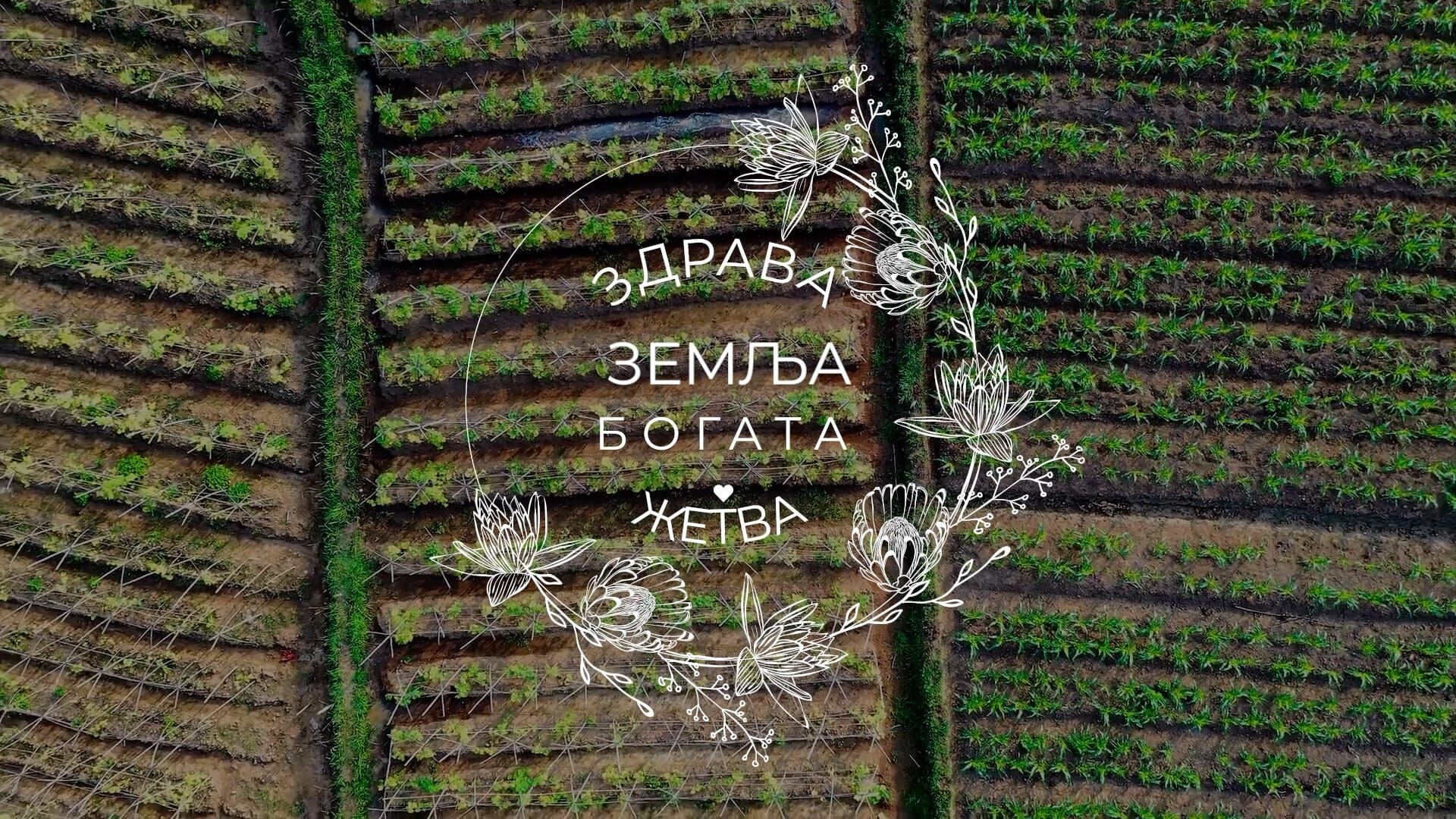 Zdrava zemlja bogata žetva