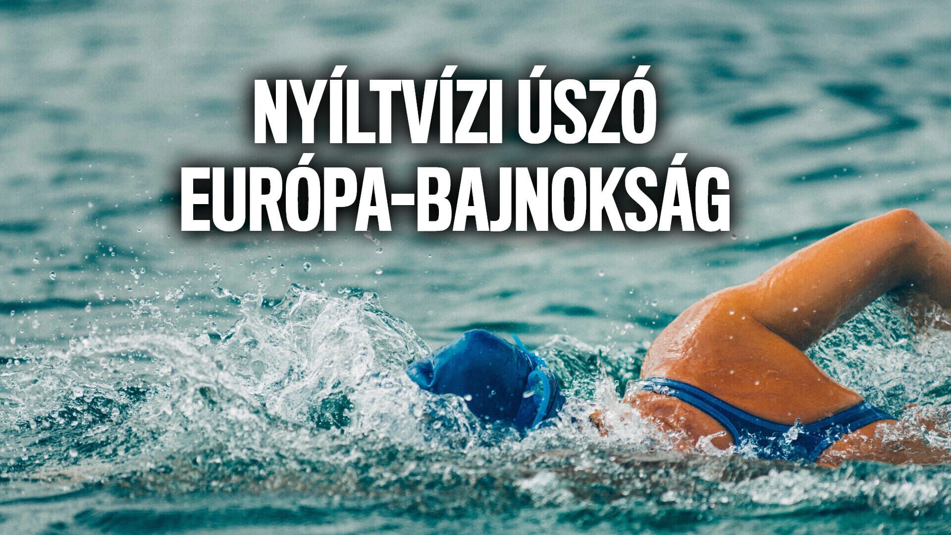 Úszás: Nyíltvízi Európa-bajnokság: Férfi 10km