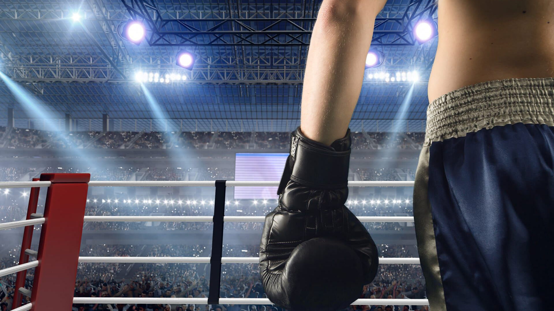 Boks: Balkan Boxing: Tutin Boxing Night