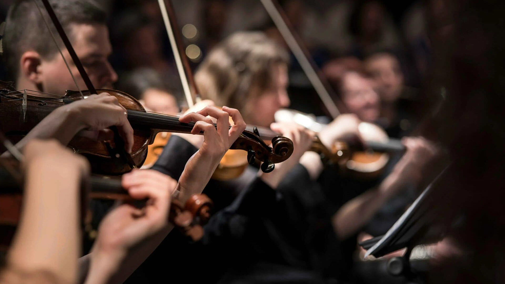Budimpeštanski romski simfonijski orkestar 100 violina