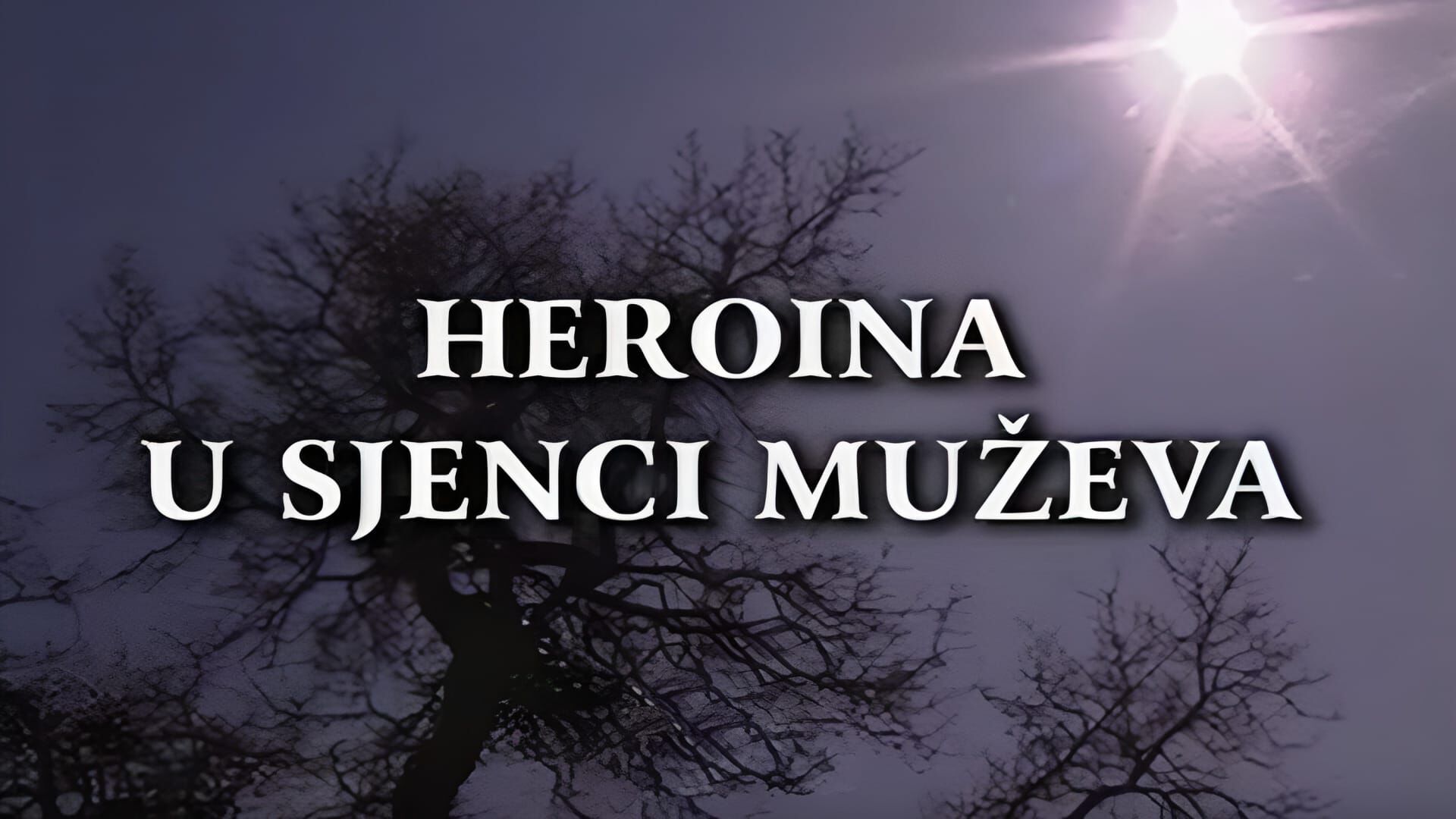 Heroina u sjenci muževa II dio