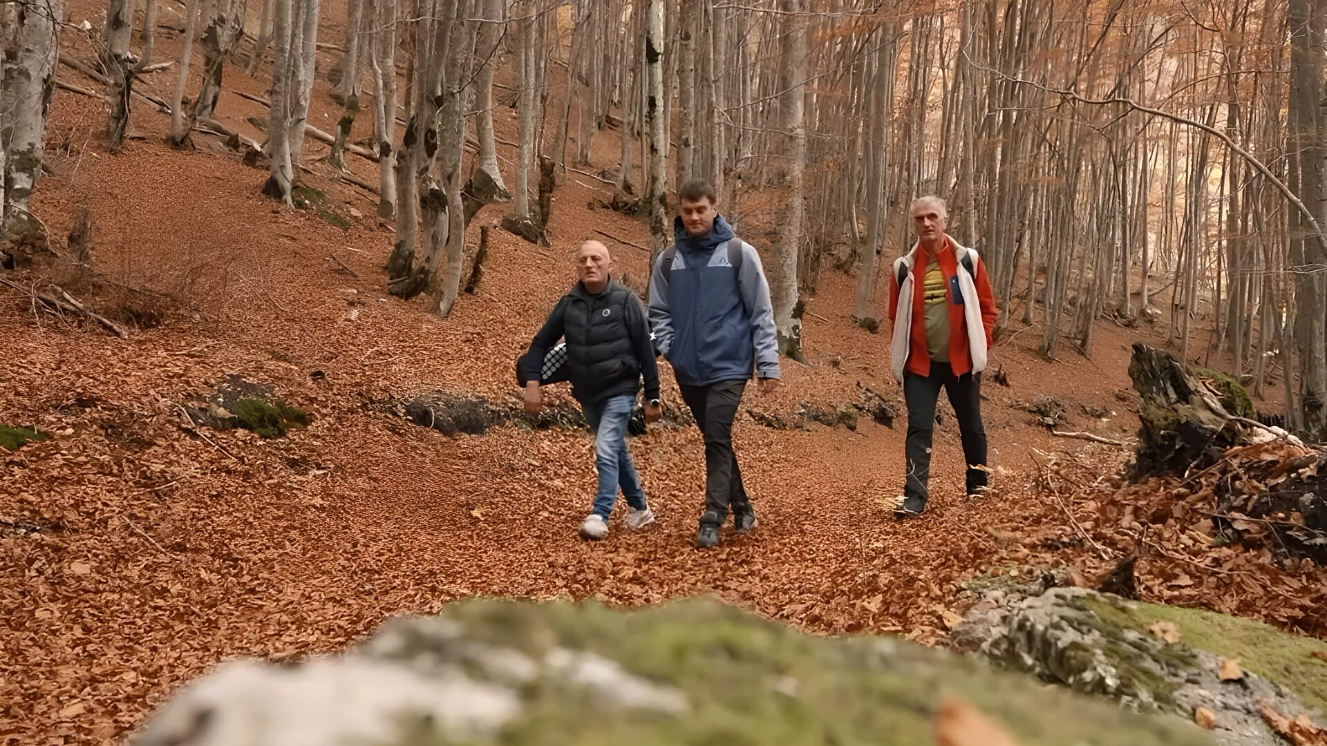 Oči i suze