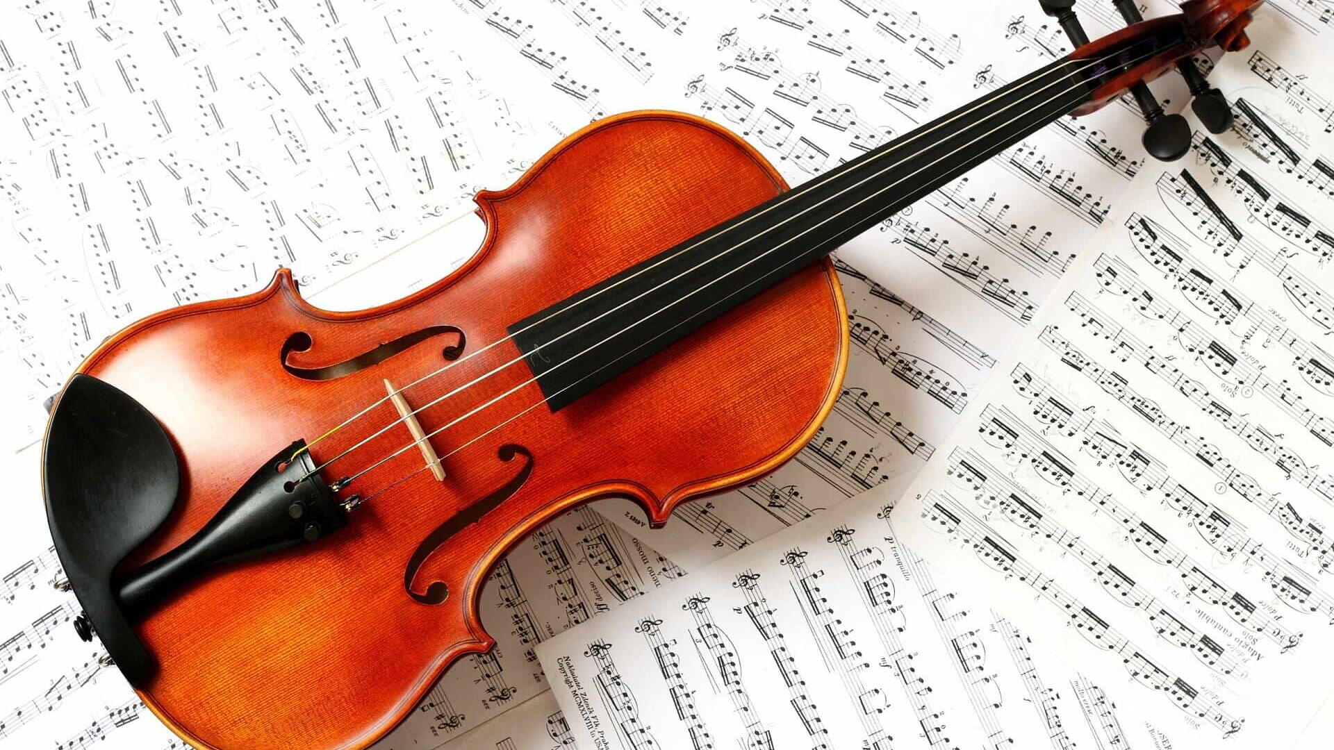 Koncert 100 violina