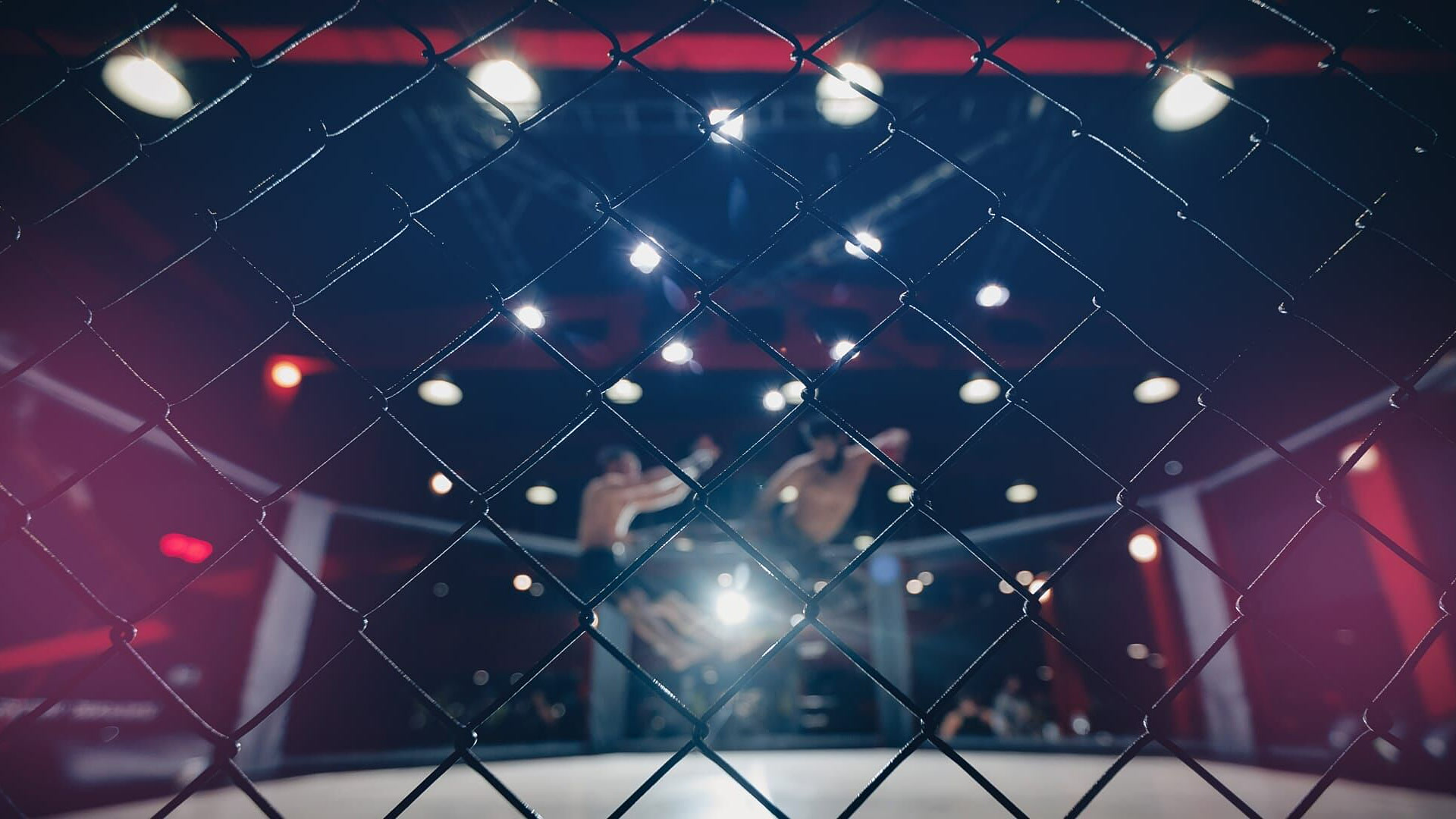 Balkan Fighting League 04: Bojan Kosednar - Alexandre Ribeiro