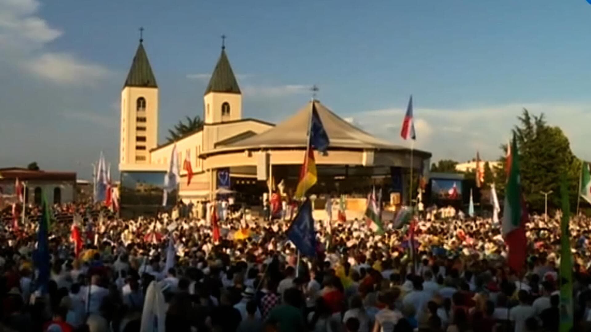 Mladifest