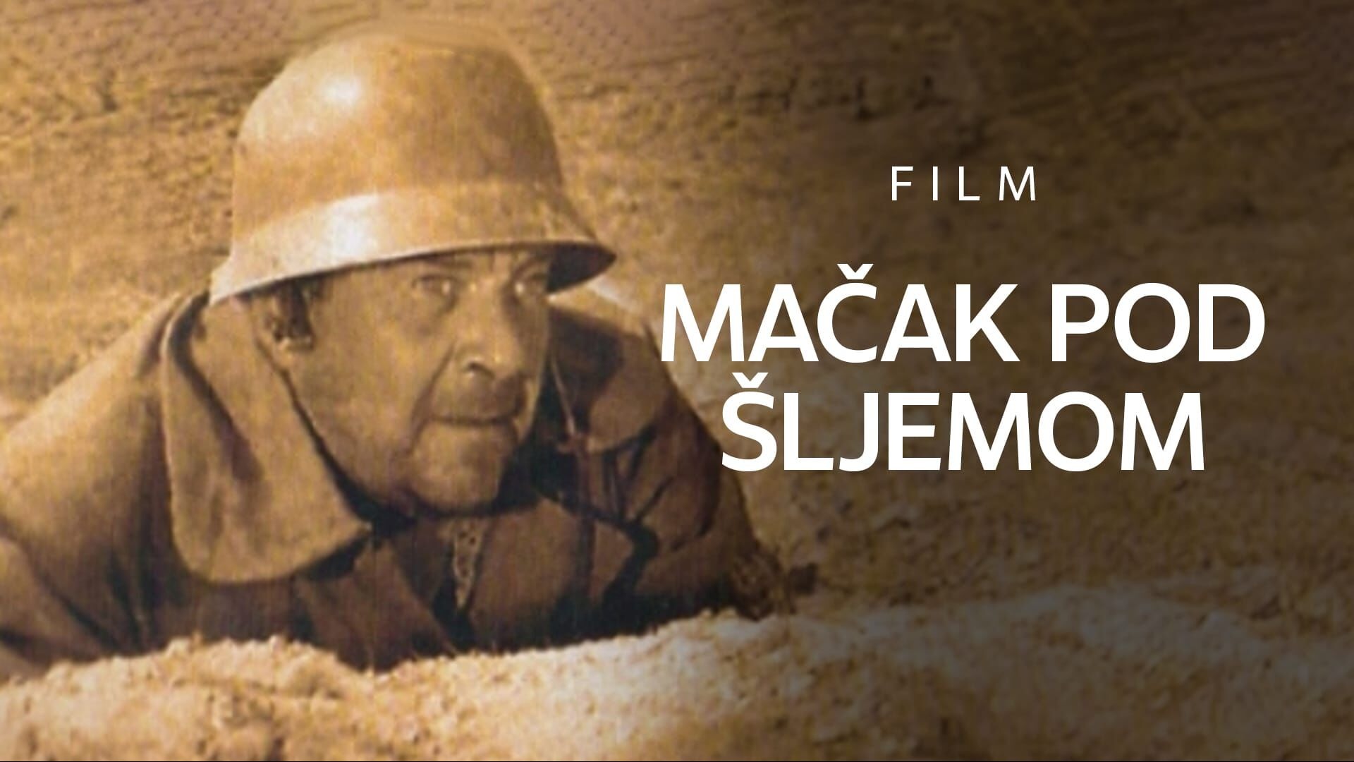 Mačak pod šljemom