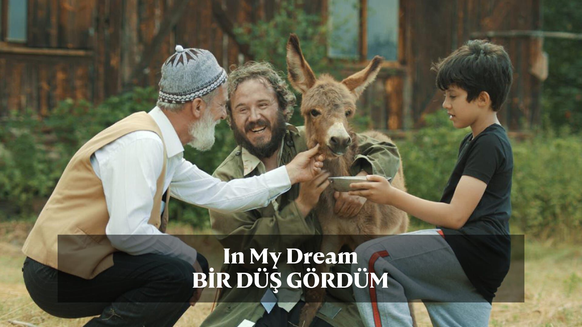 Bir Düş Gördüm