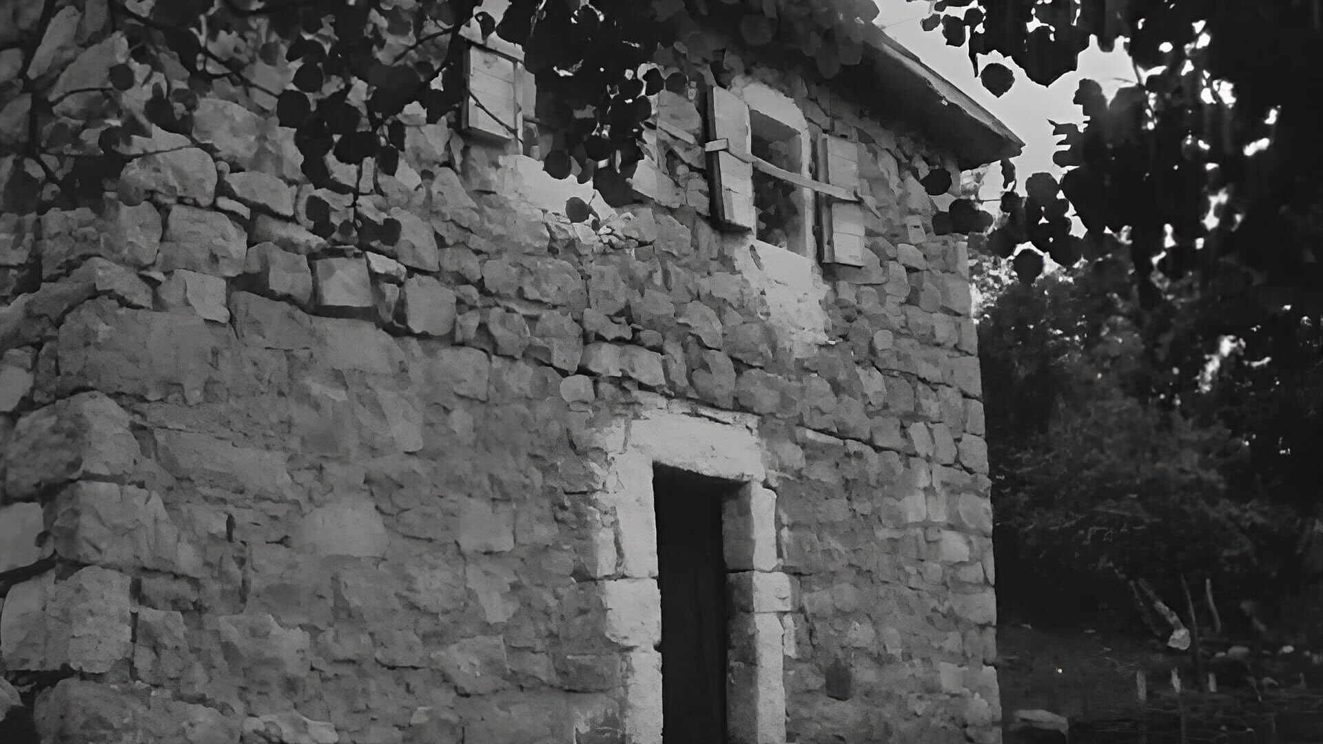 Kad je Tara proticala mutna