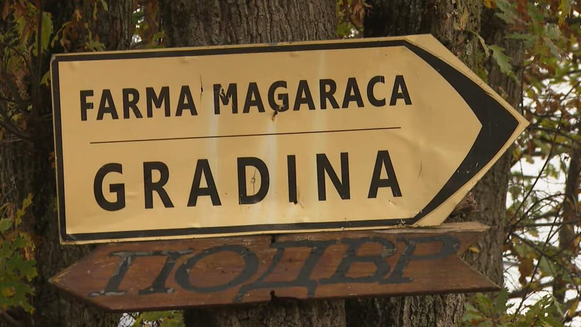 Neobična farma
