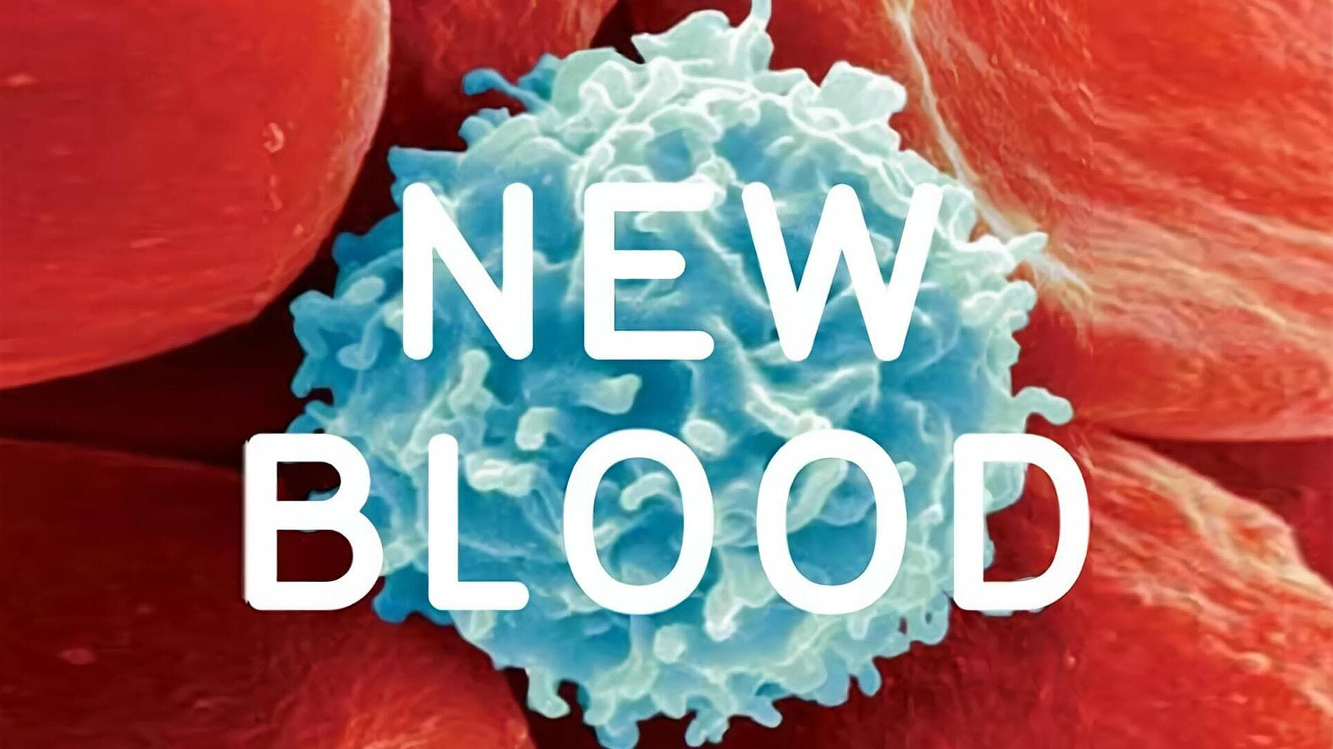 Peter Gabriel - New Blood: Live in London