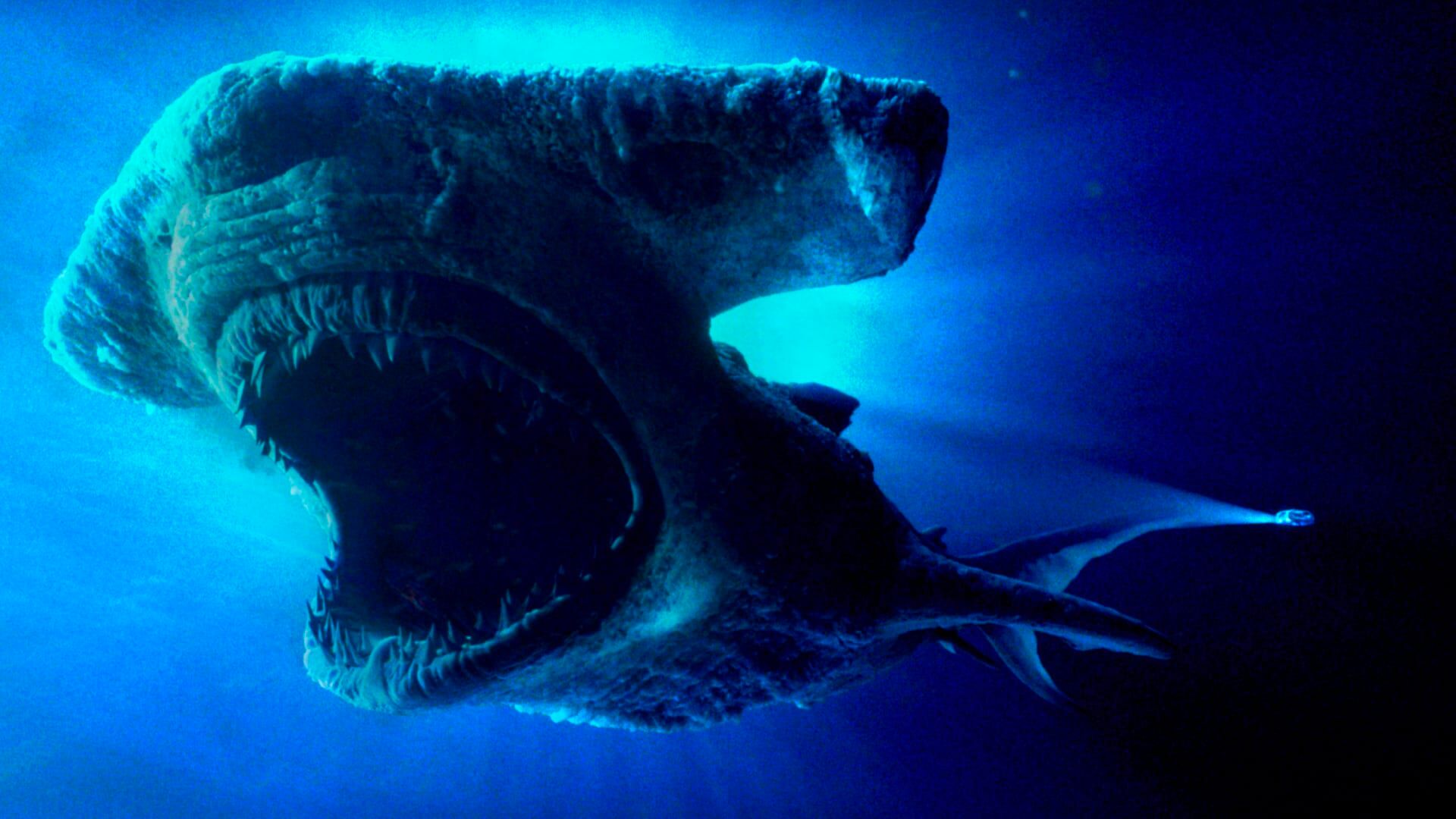 Frankenshark