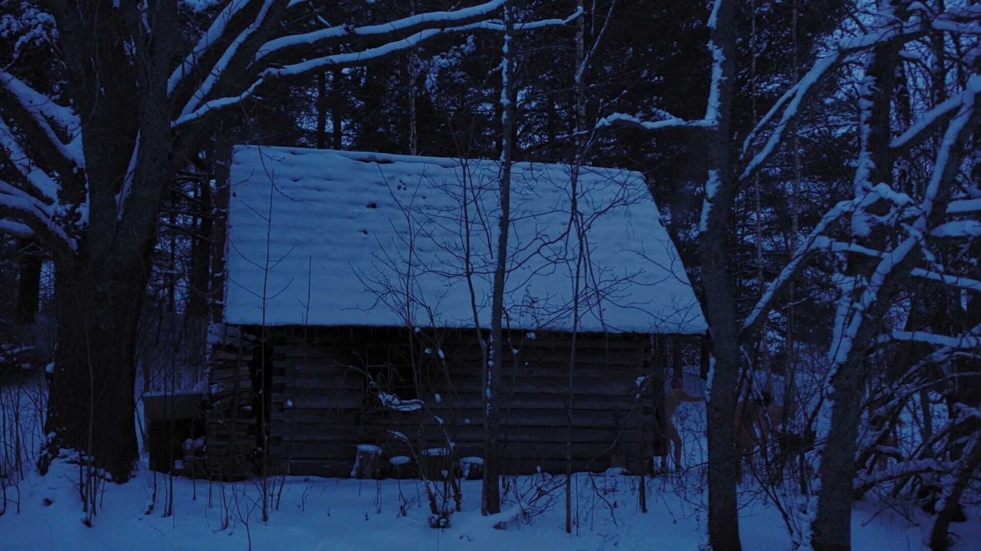 Sestrinstvo zadimljene saune