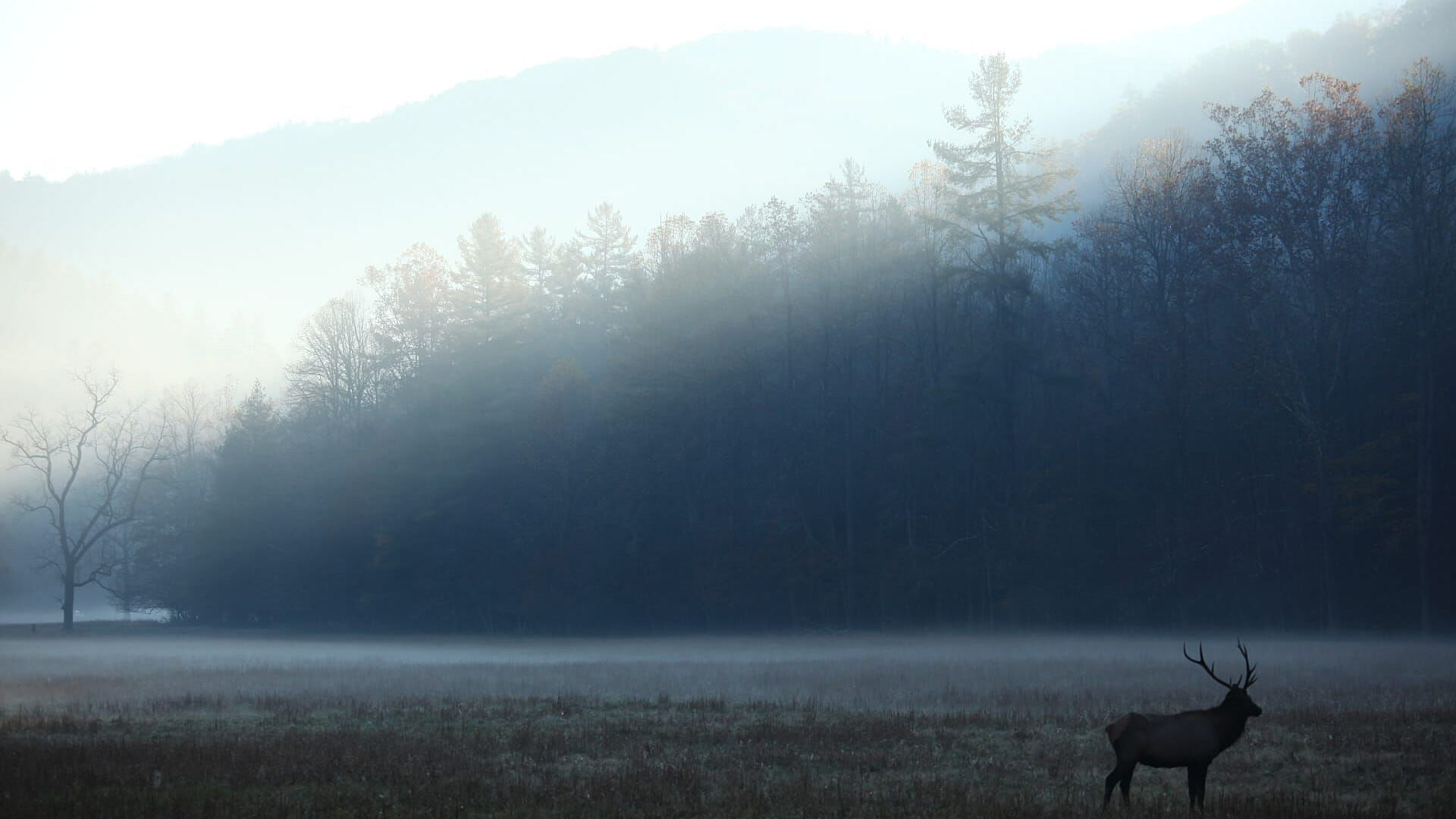 Čudesan svet Apalačkih planina