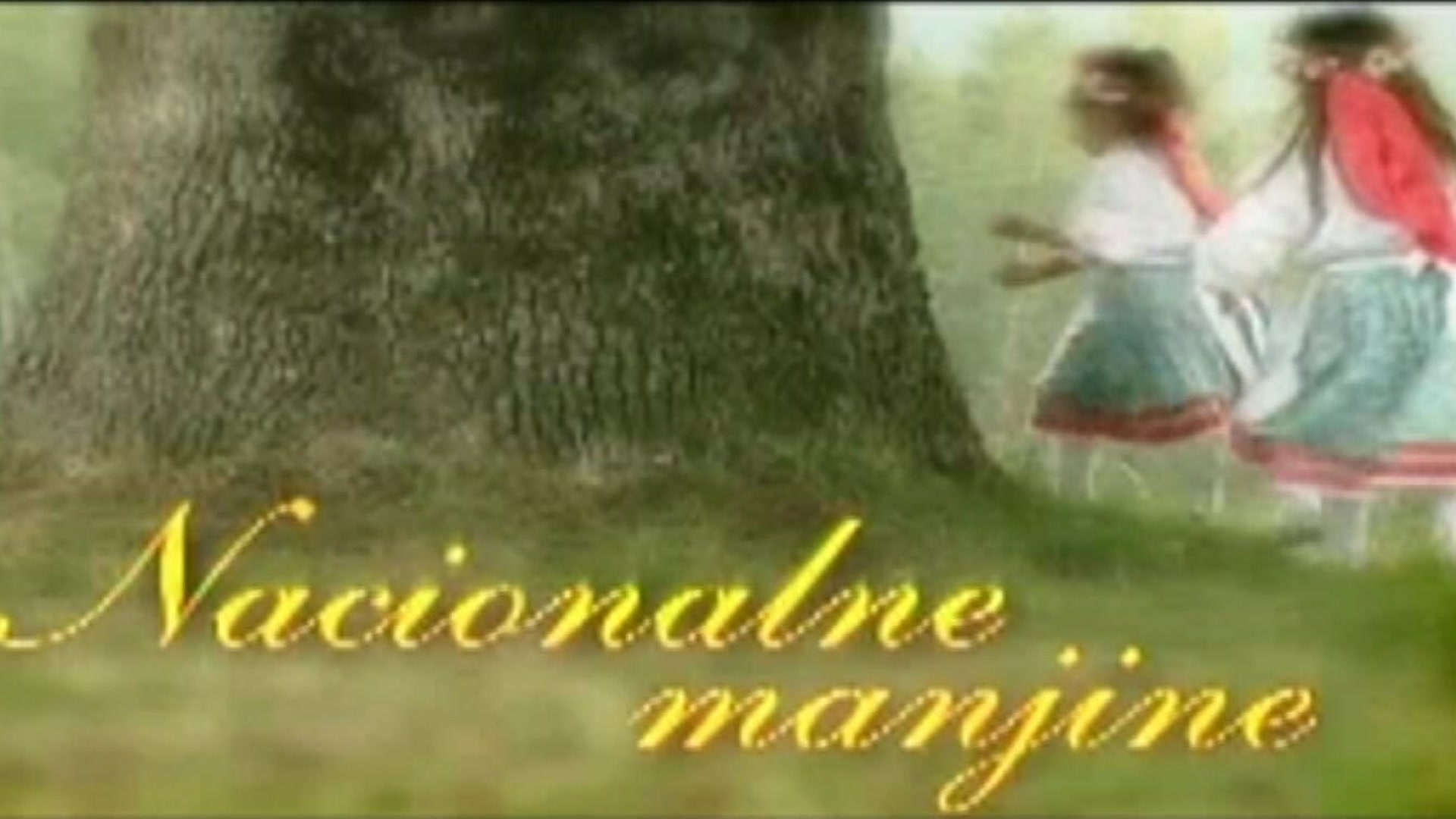 Nacionalne manjine