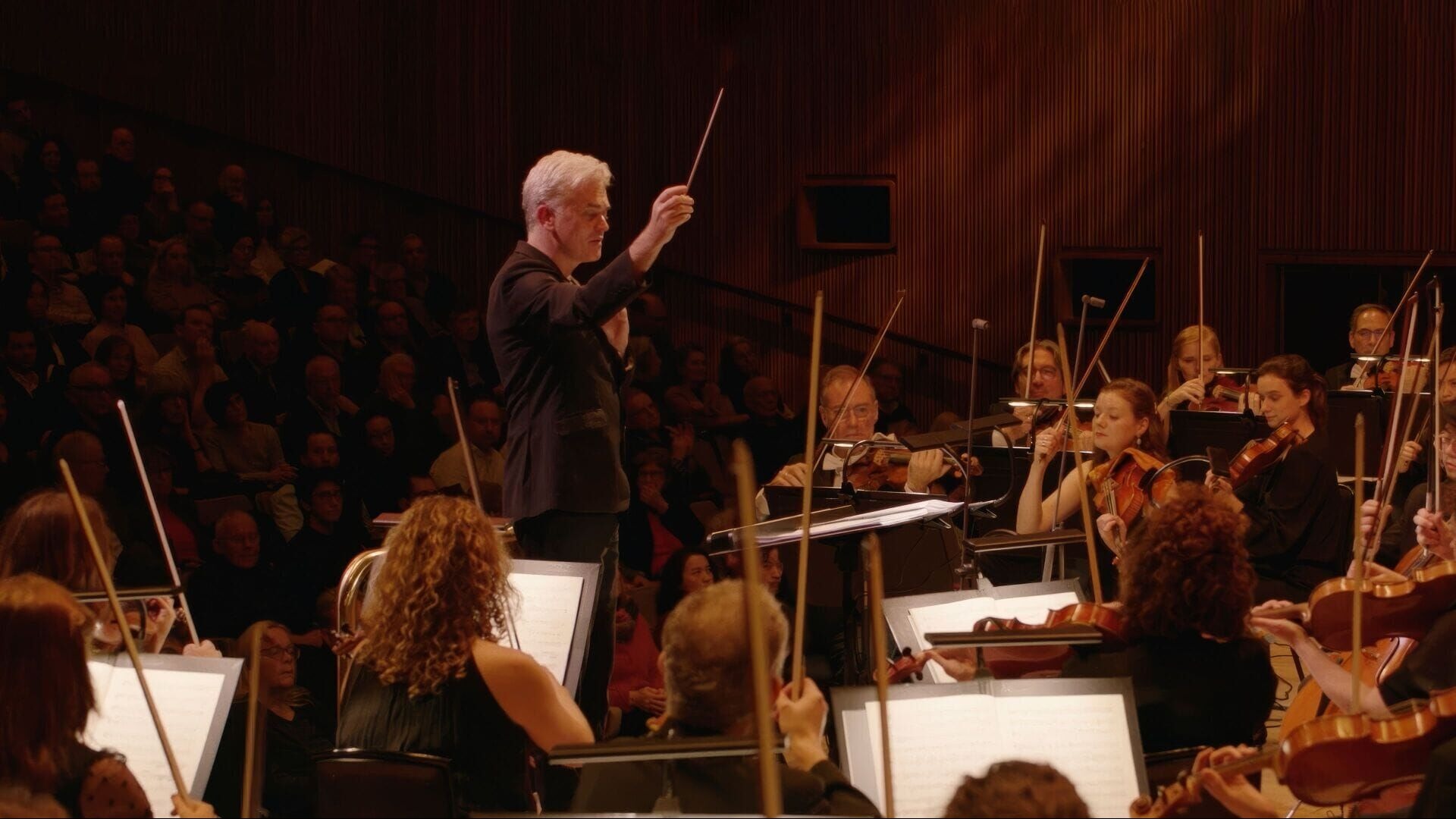 Strauss & Brahms