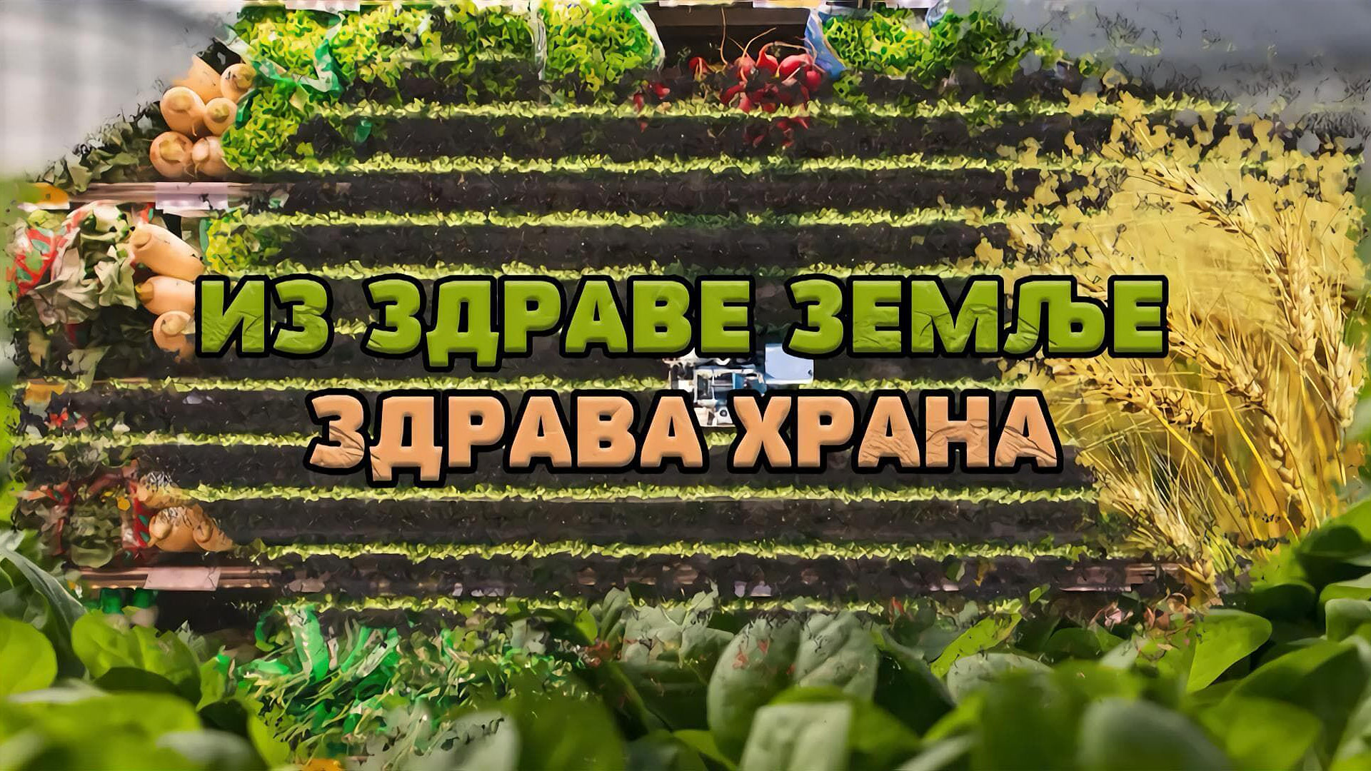 Iz zdrave zemlje zdrava hrana
