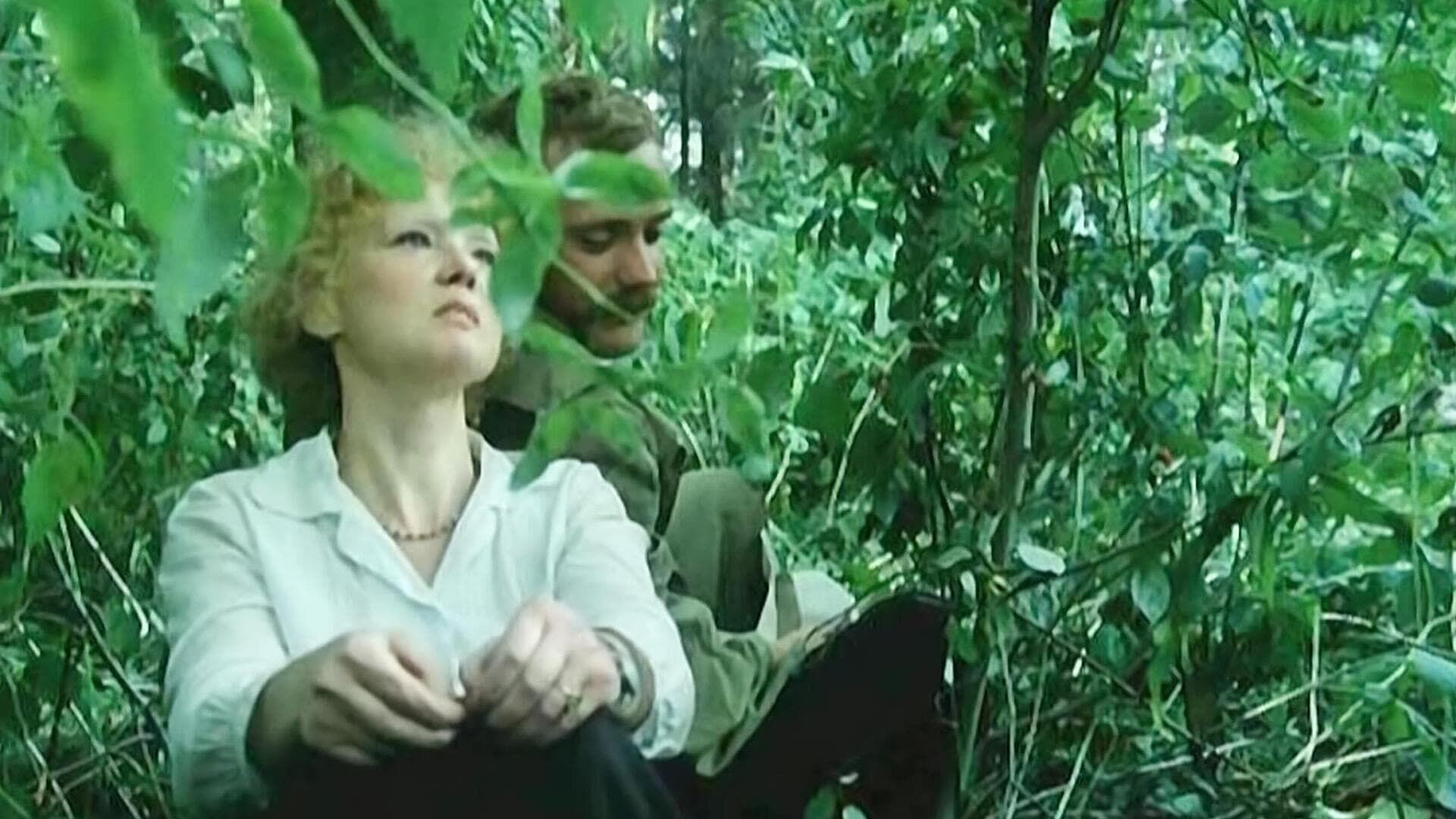Sibiriada 4