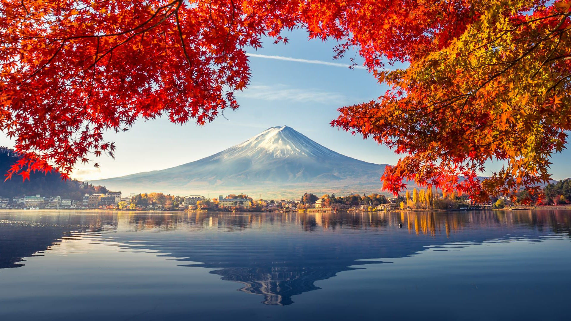 Ultimate Japan